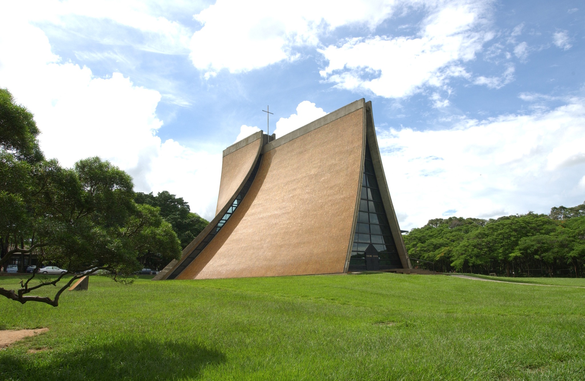 上月31日，一對夫婦到東海大學運動，疑似因強風將樹木吹垮，當場將婦人的雙腿壓斷。（翻攝自東海大學臉書）