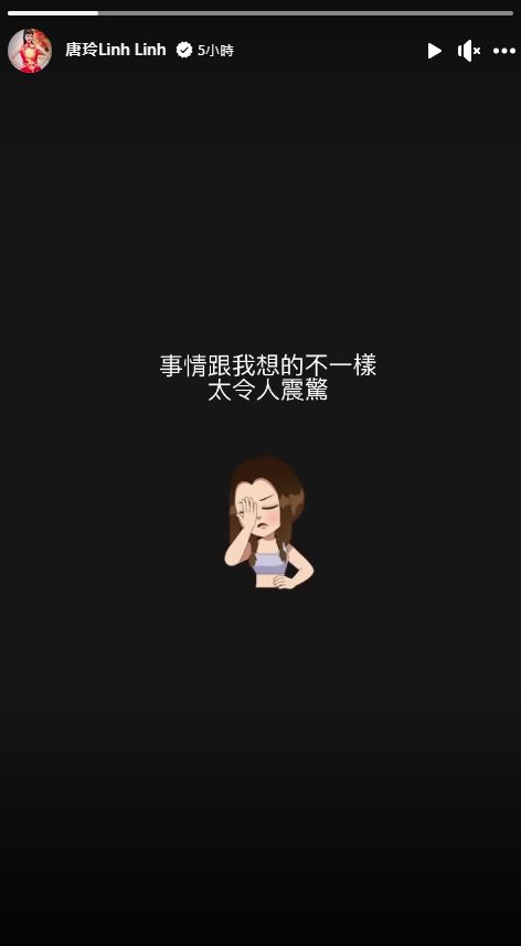 唐玲坦言事情跟她想的不一樣，太令人震驚了。（翻攝自唐玲臉書）