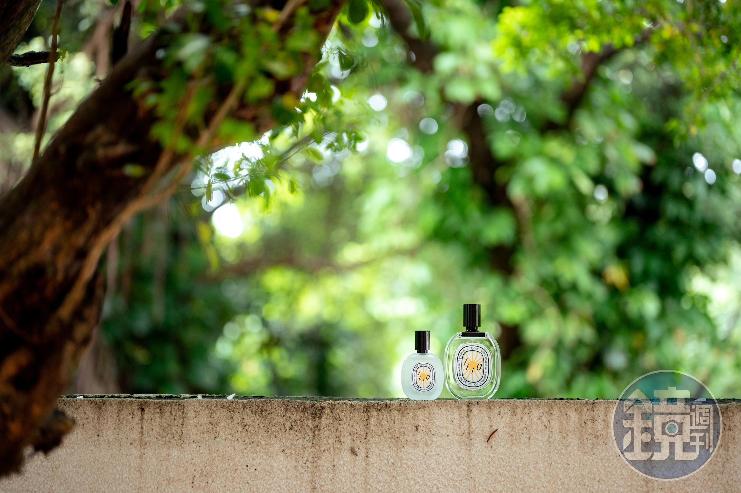 Diptyque 2023夏日限量系列與美國藝術家Erik Winkowski合作。（10/10 APOTHECARY提供）