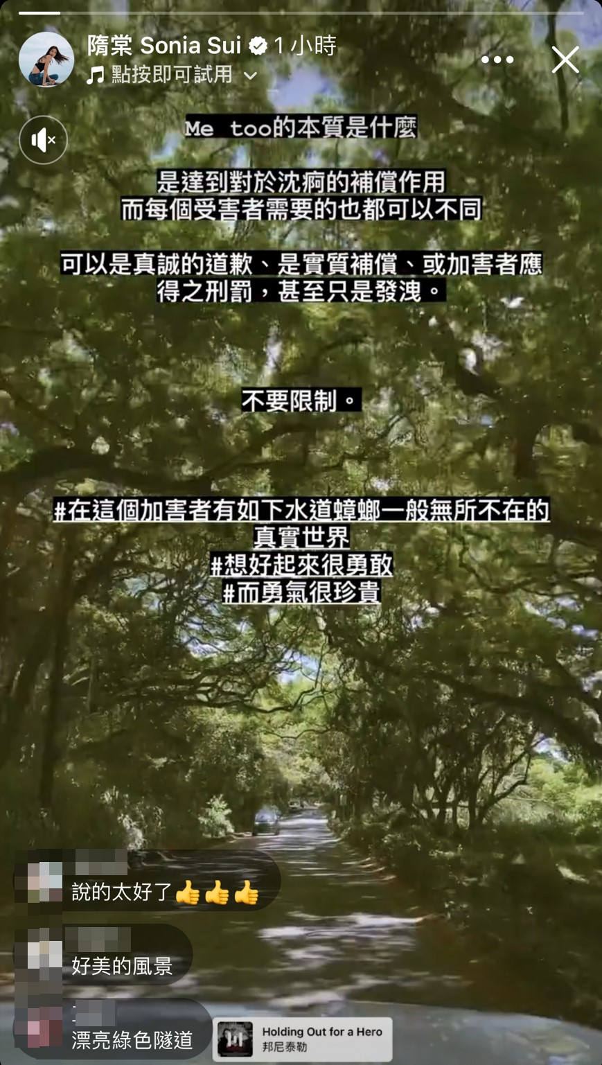 隋棠在限時動態發文,探討MeToo的本質。(翻攝隋棠臉書)