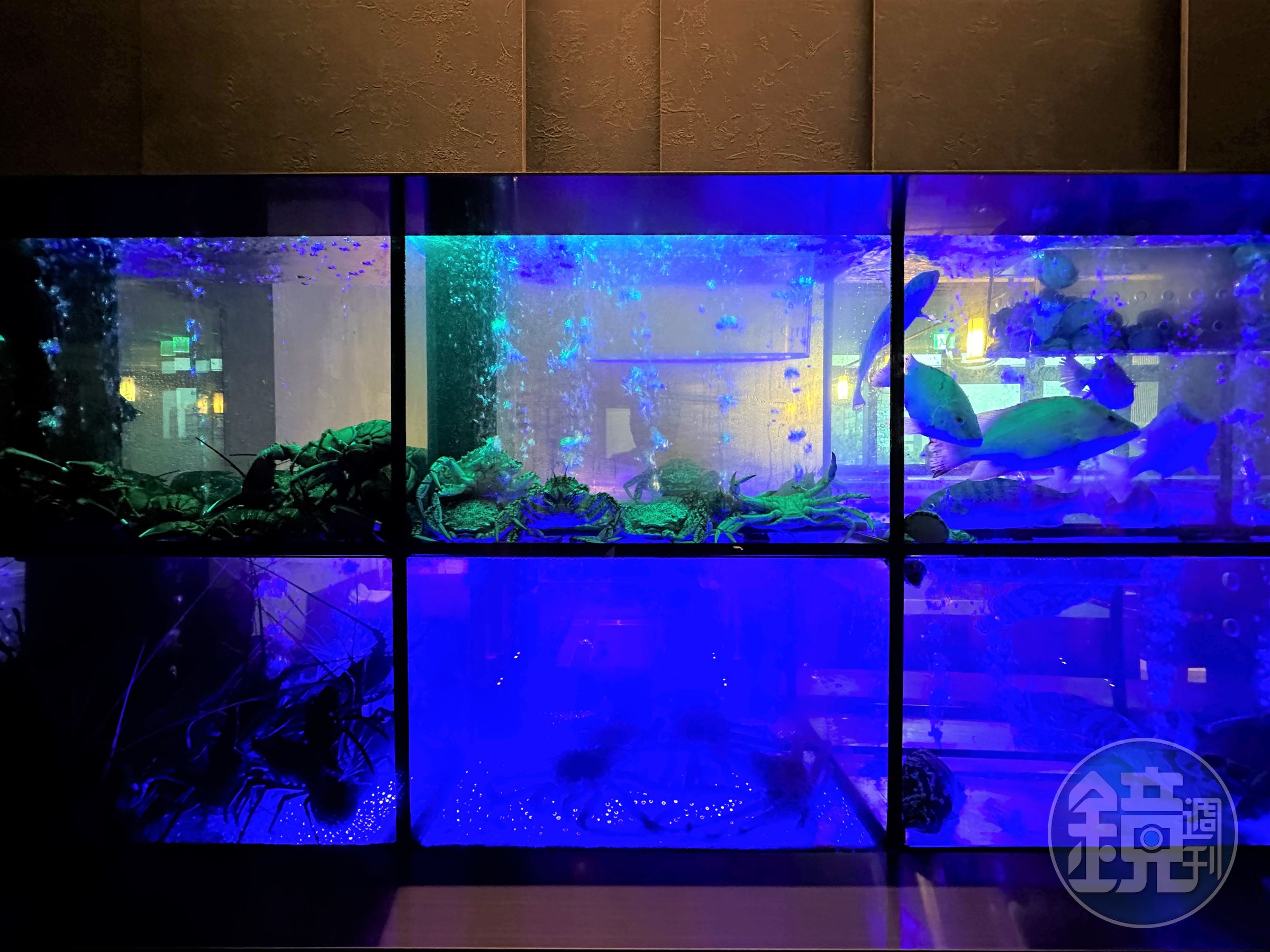 餐廳入口處設置長3公尺的水族缸,讓客人一覽今天有哪些活體海鮮。