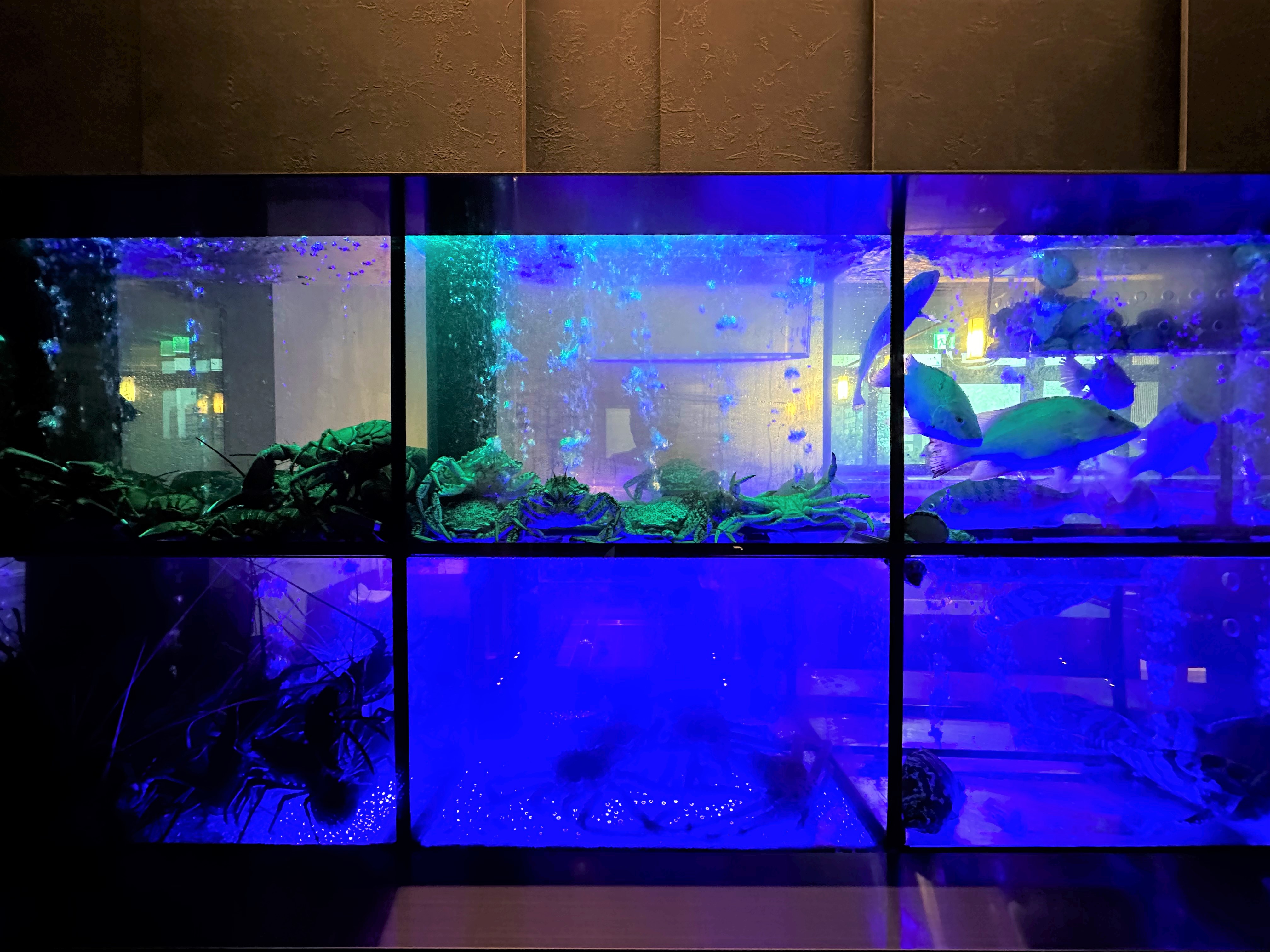 餐廳入口處設置長3公尺的水族缸,讓客人一覽今天有哪些活體海鮮。