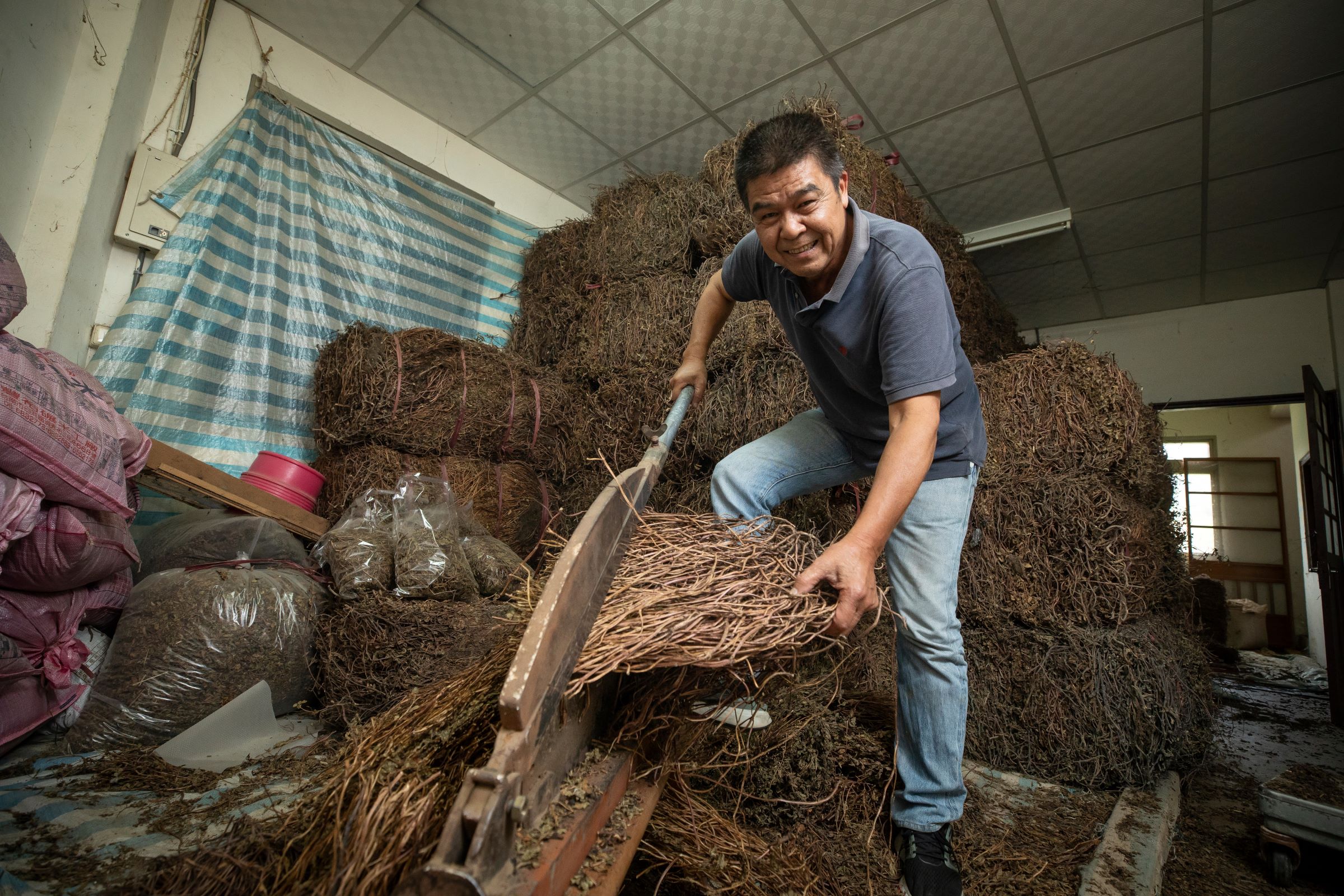 獅潭仙山仙草陳天智表示,必要時會把香氣好跟膠質多的不同批仙草乾,依經驗混合調配,來確保製作出來的仙草又Q又香。