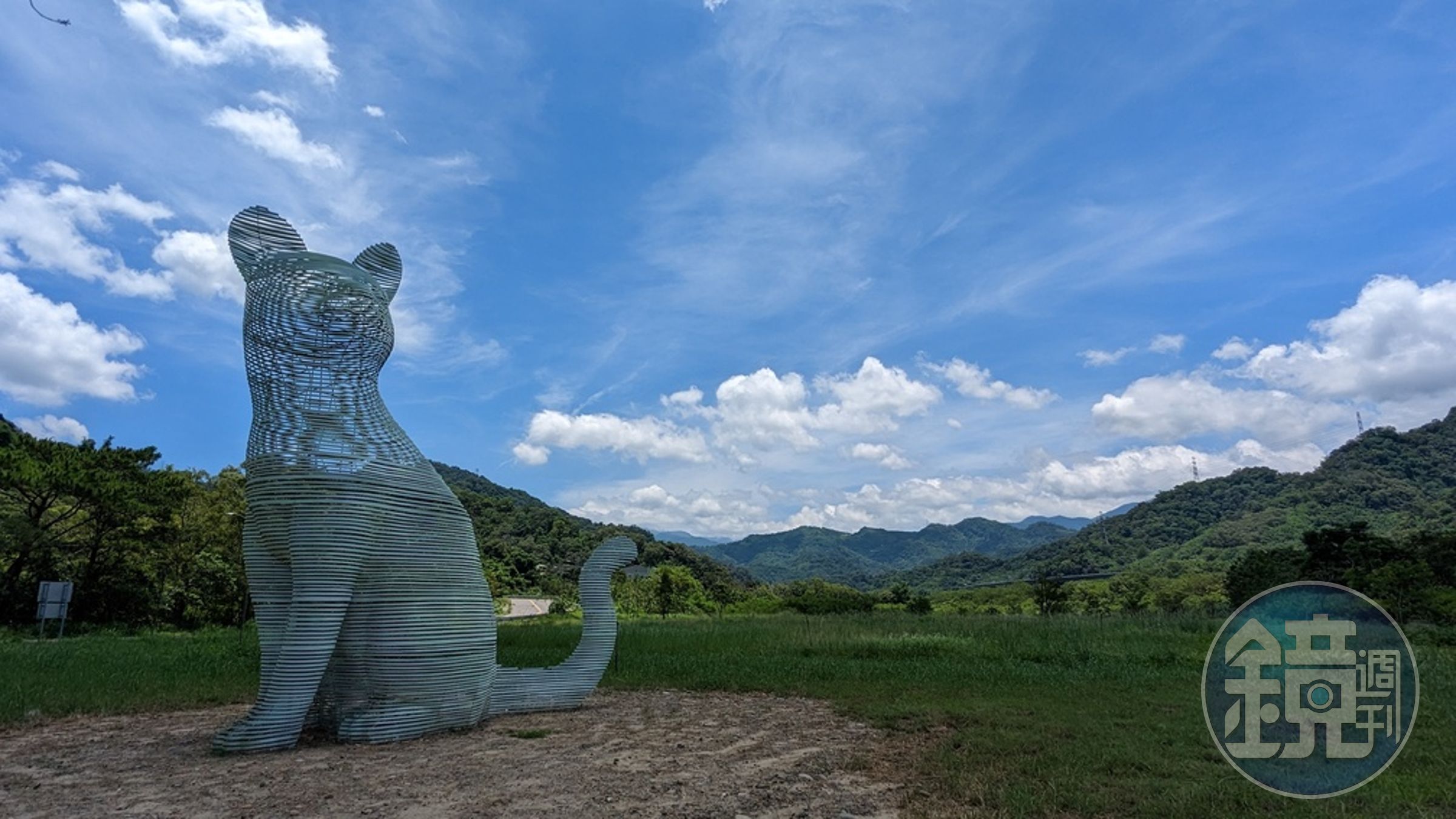 以虛構的線條說明石虎隱身在台灣淺山。