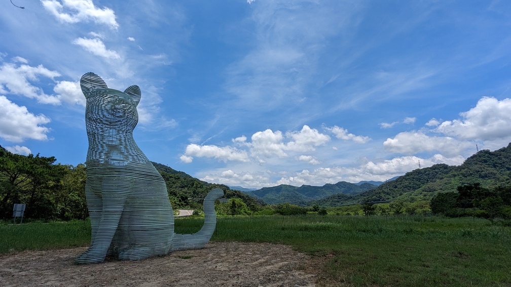 以虛構的線條說明石虎隱身在台灣淺山。