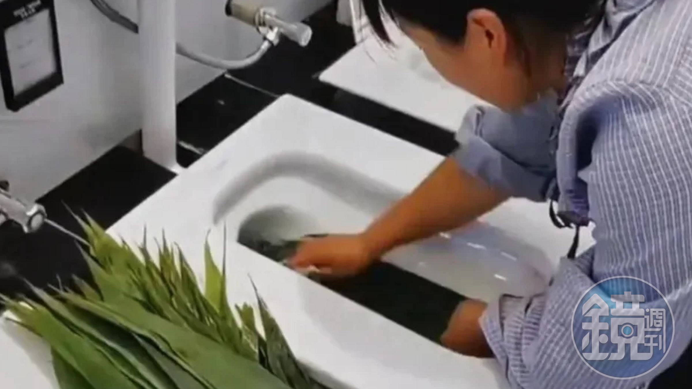 一名店家遭控用「馬桶水洗粽葉」,影片曝光引發大批網友關注。(翻攝自微博)