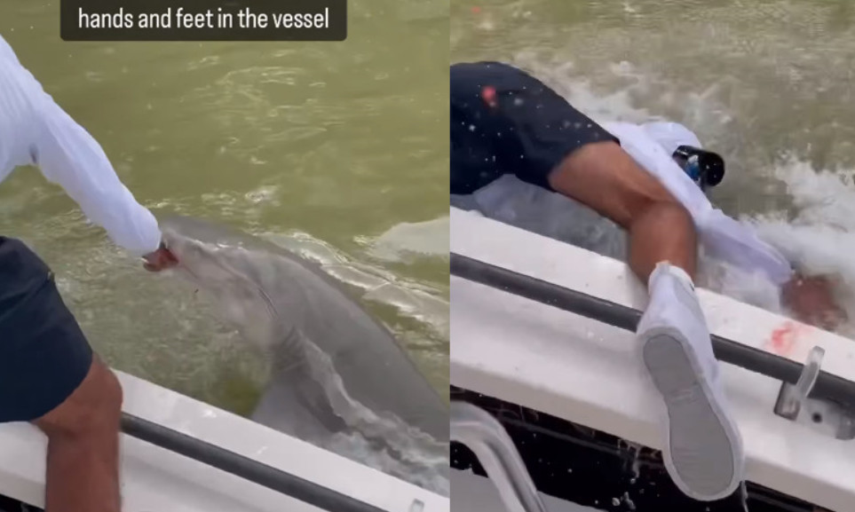 一名男釣客在美國佛州大沼澤地國家公園釣魚時，將手伸進水中洗手，突然被鯊魚咬住拖入水中。（翻攝IG@florida）