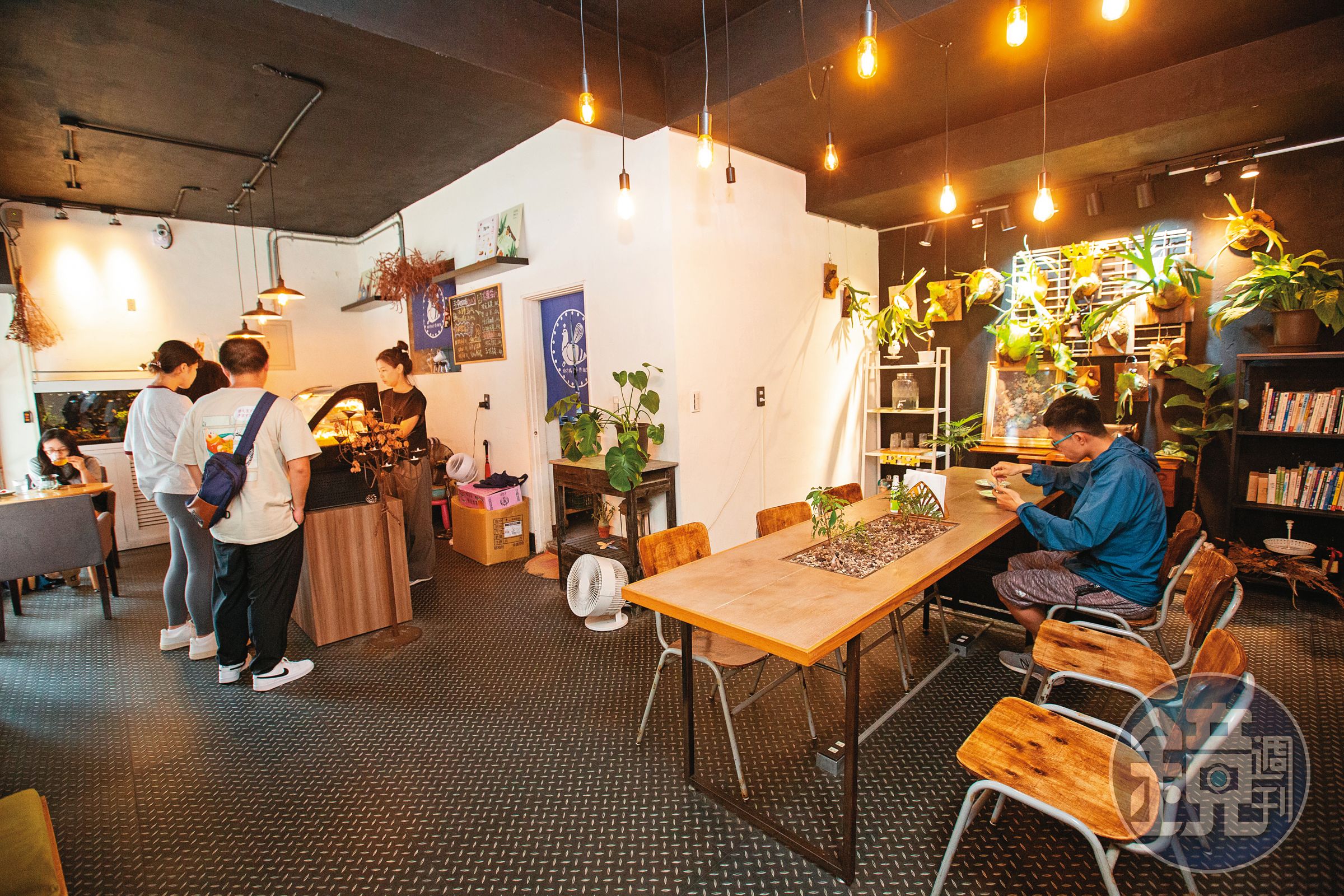 給冷鴿手作甜點店內裝潢簡單，除了生機盎然的植栽牆與書櫃，沒有過度複雜的裝飾。