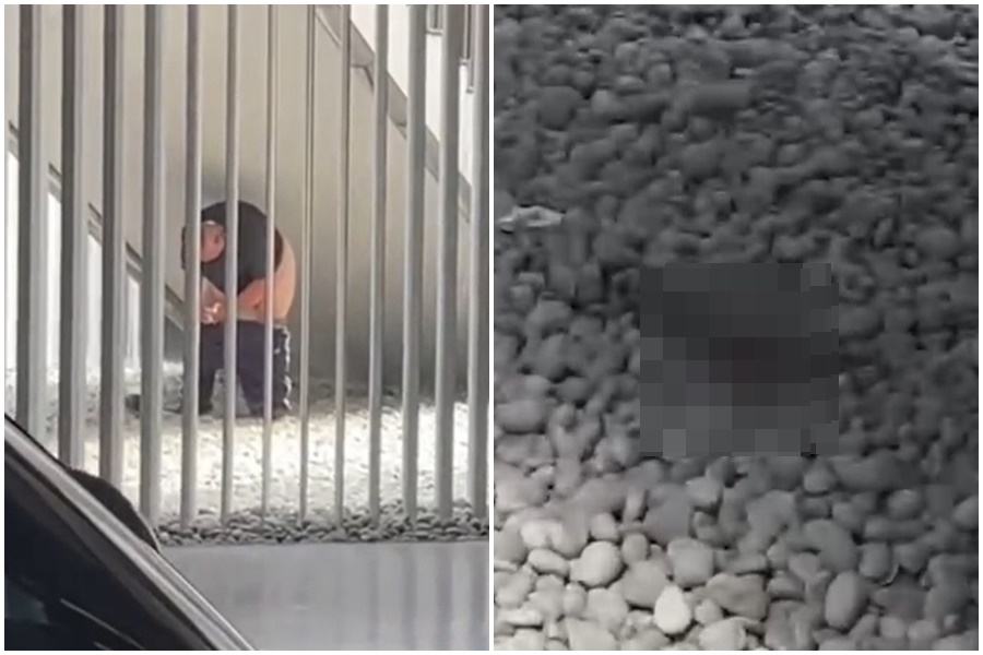 一名大叔在南美館公共空間公然如廁，館方對此回應了。（翻攝自Tiktok）