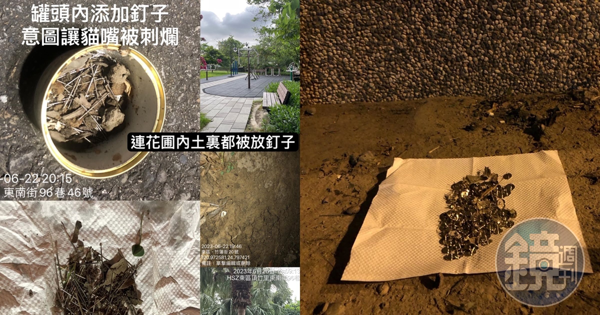 新竹市頂竹圍兒童公園近日出現釘子怪客,到處撒釘子企圖傷害流浪貓。(翻攝自邵柏森-虎哥救援大小事臉書)