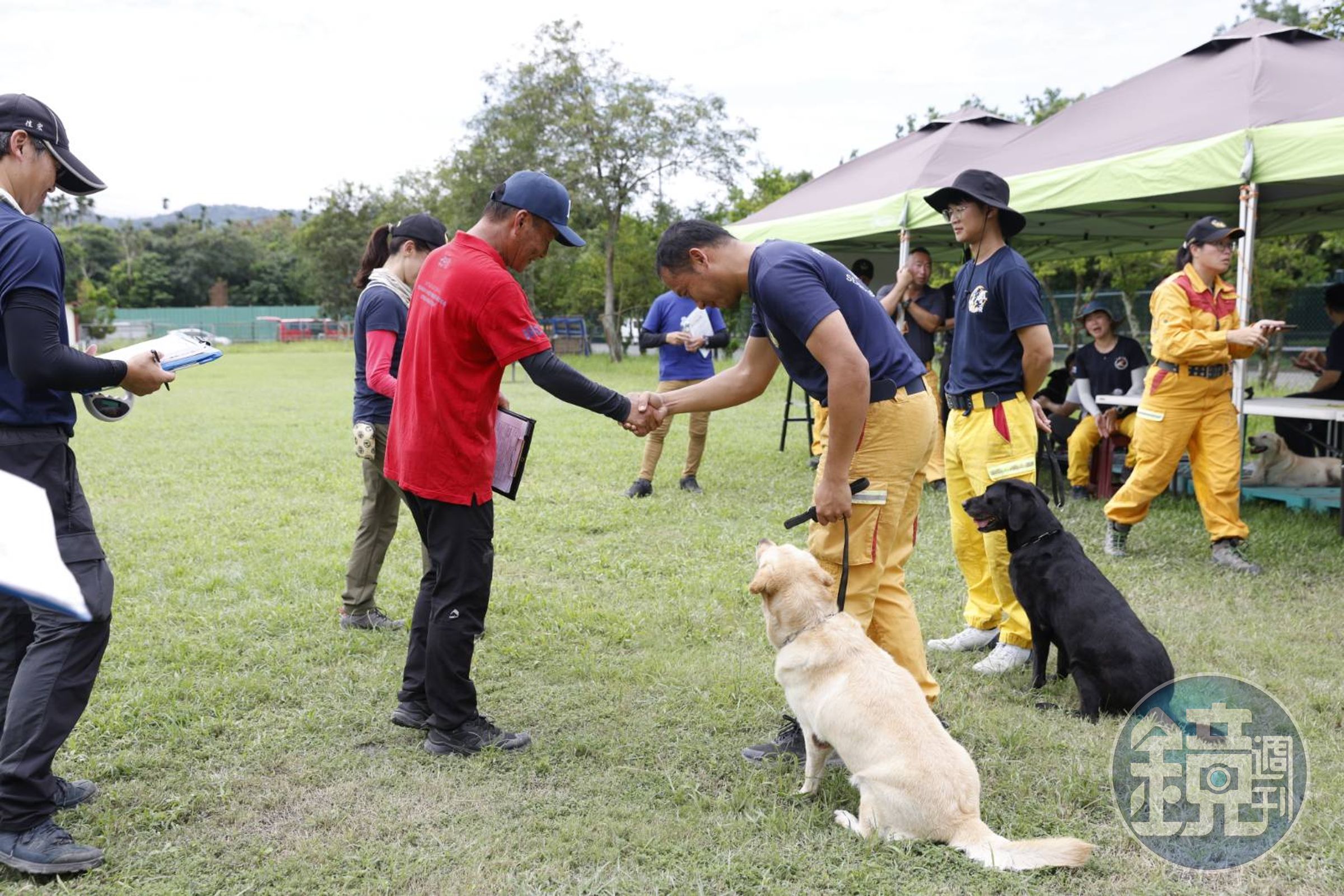 消防署舉辦全國災害搜救犬IRO國際評量檢測,針對優秀犬隻進行評測。(消防署提供)
