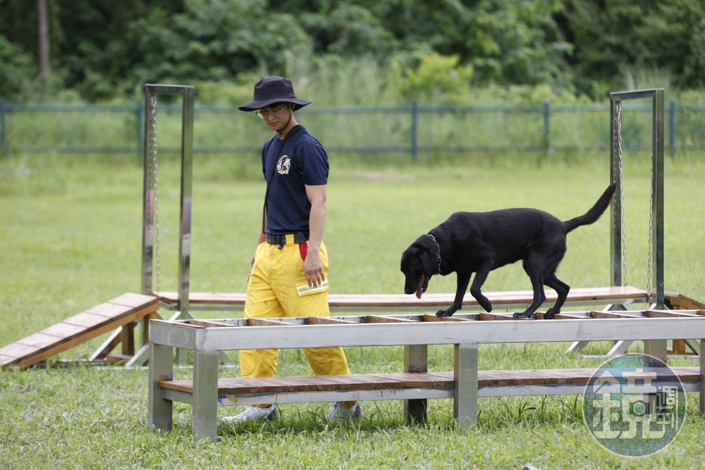 消防署將台灣打造為亞洲區搜救犬馴養技術交流平台。(消防署提供)