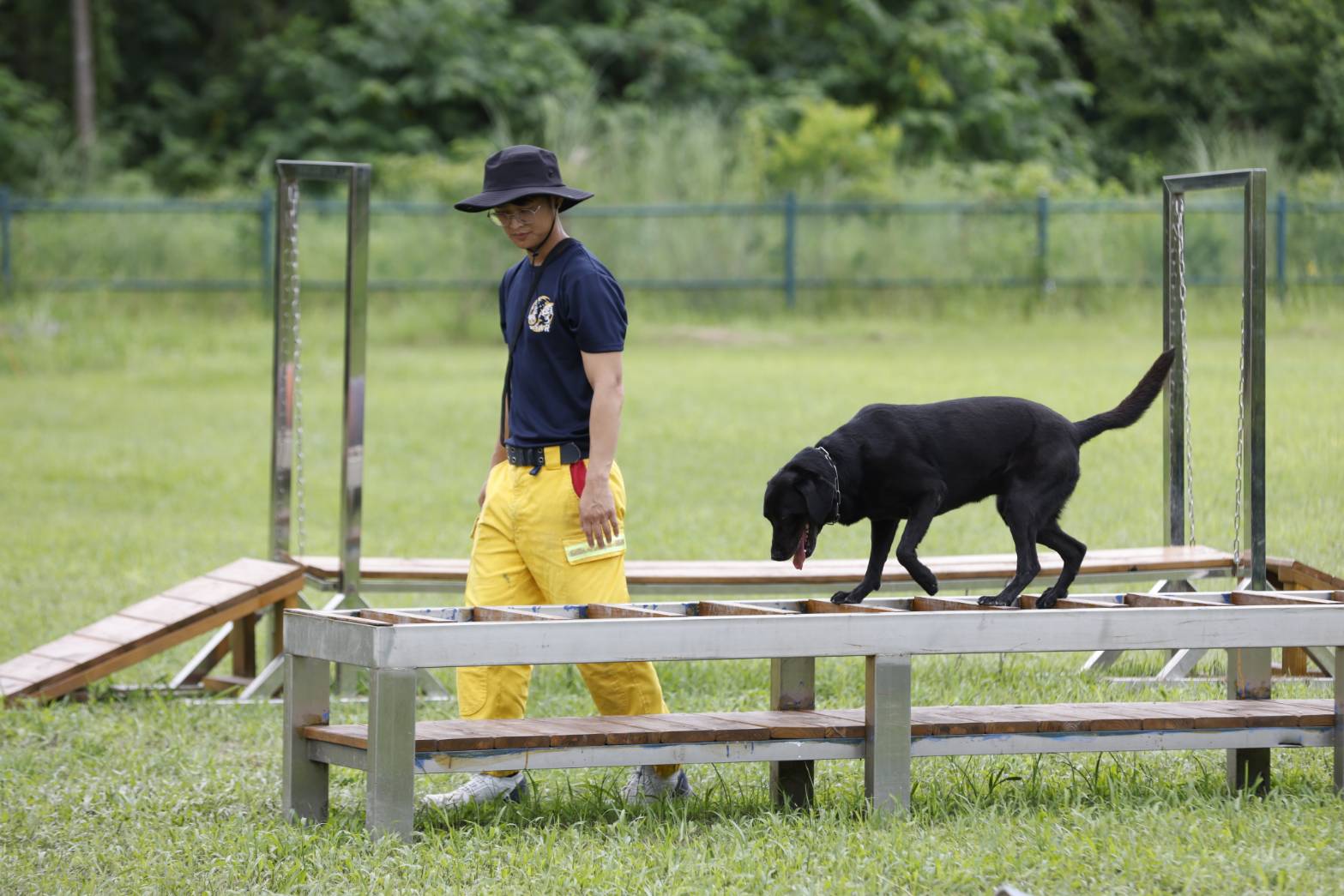 消防署將台灣打造為亞洲區搜救犬馴養技術交流平台。(消防署提供)