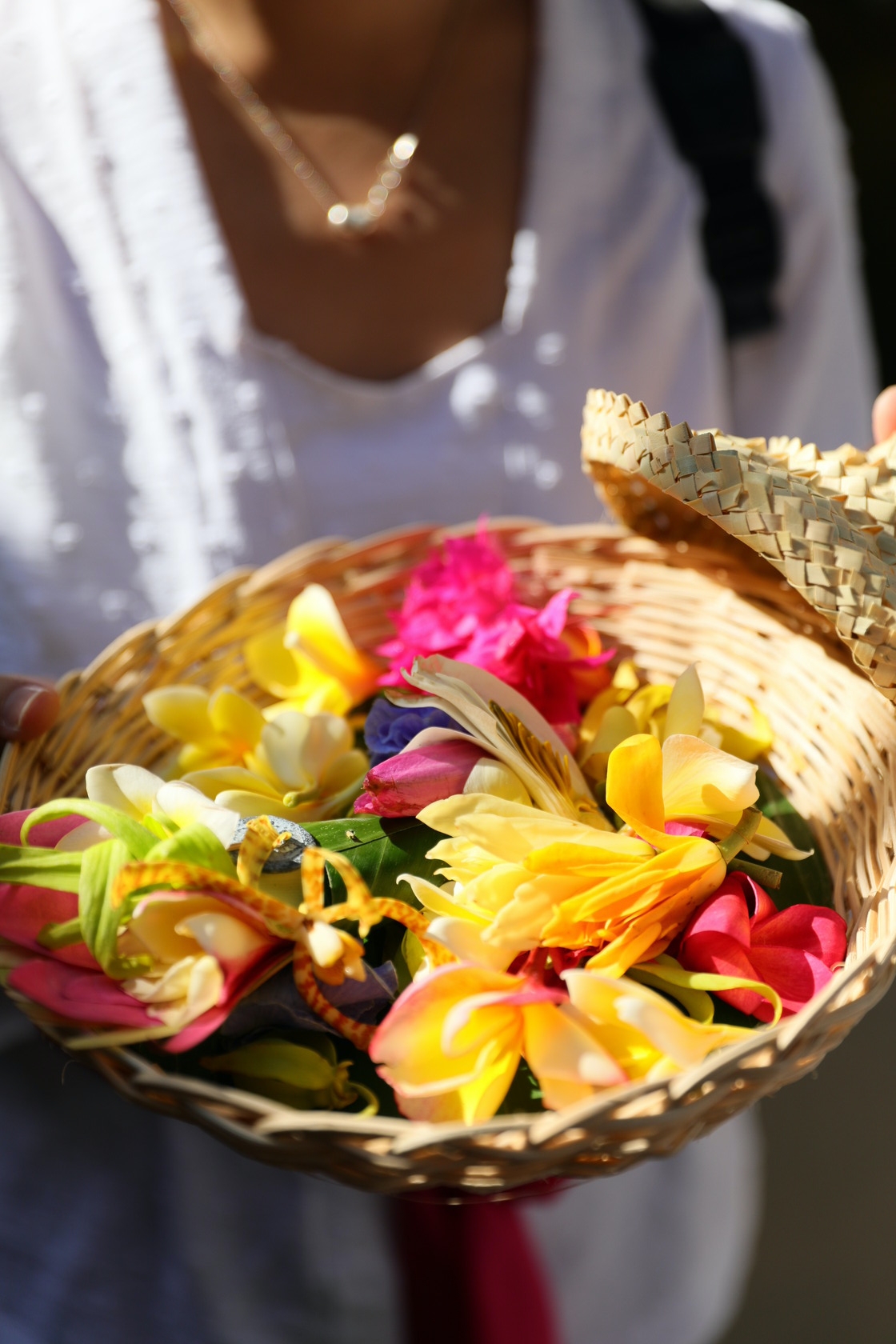 使用已被陽光照耀的鮮花呼喚神，告訴「祂」你的姓名及願望。