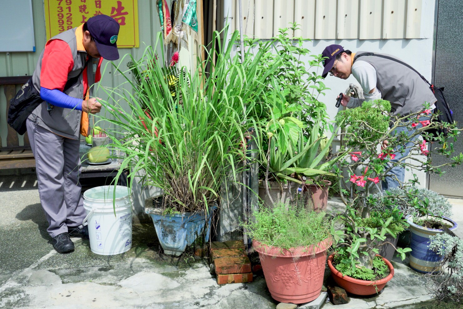台南市環保局查找登革熱孳生源，上月82件陽性遭告發。（南市環保局提供）