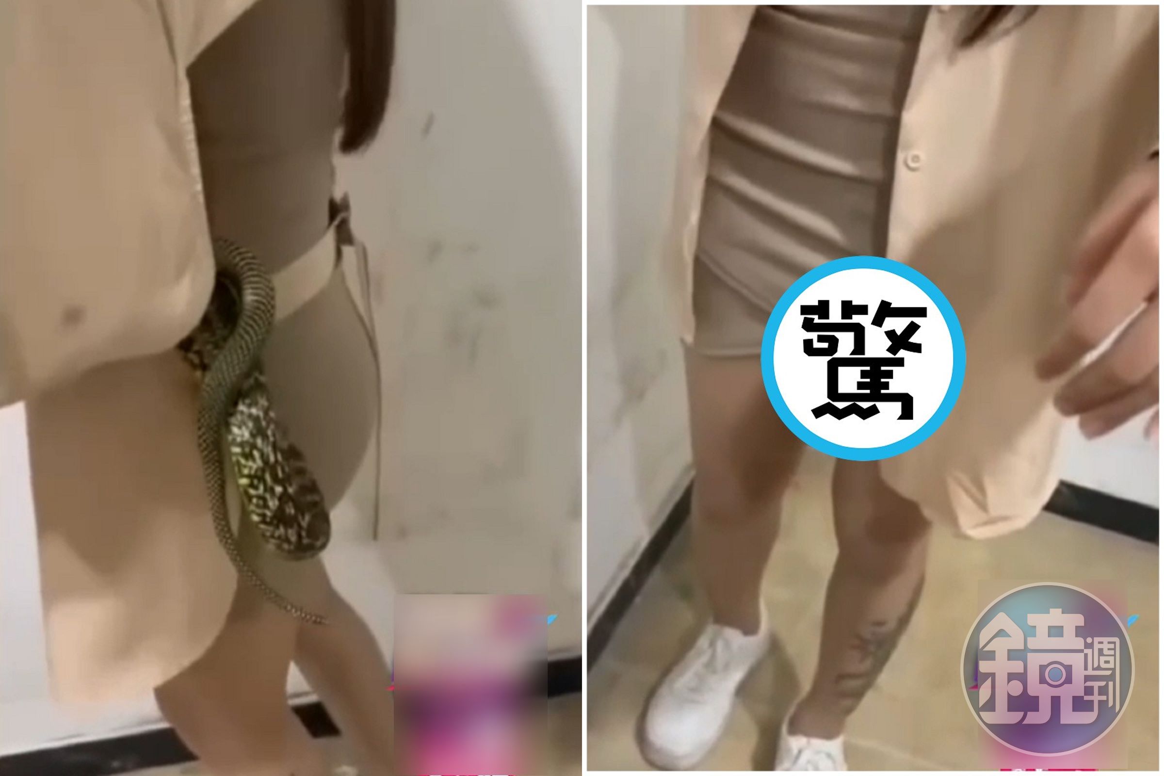 這條蛇蛇懂玩!在正妹身上蠕動,下一秒色色深鑽「幽暗陰穴」。(翻自《51吃瓜網》)