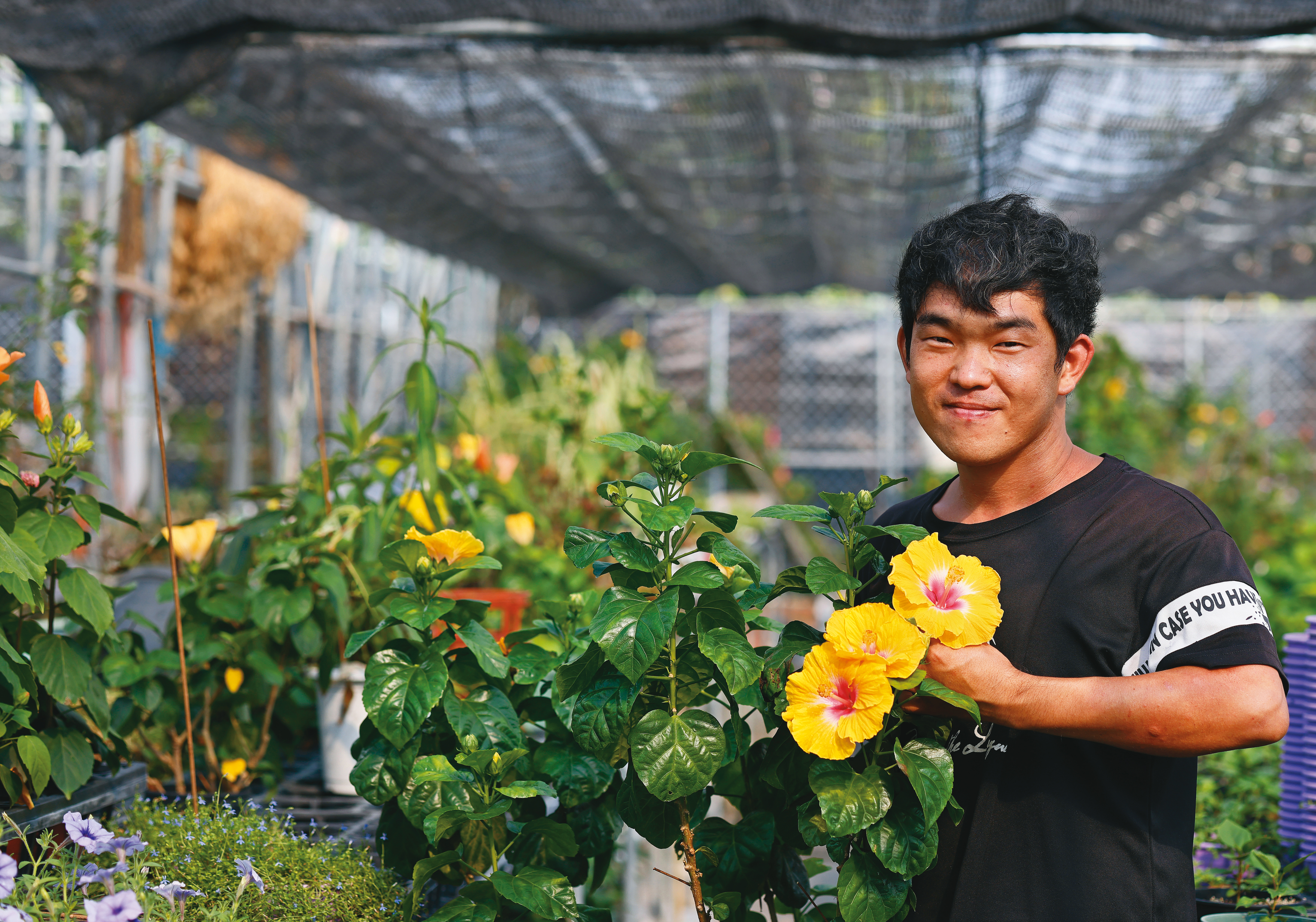 謝丞傑自學花卉育種。圖中的花是他為紀念朋友培育的新品種朱槿「希望」。