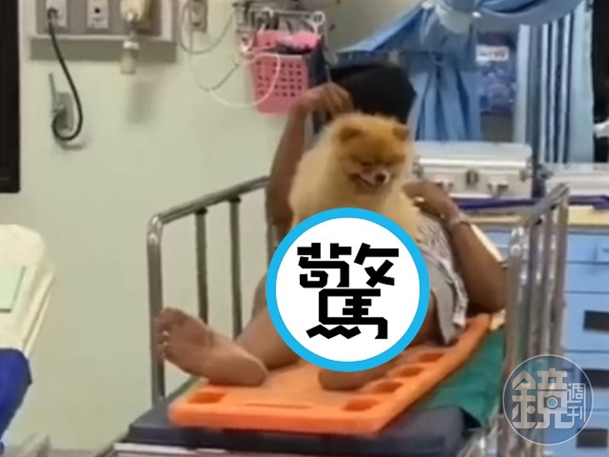 好男兒跟狗狗不分離！緊貼下體一起送醫，網驚：案情不單純。（翻自微博）