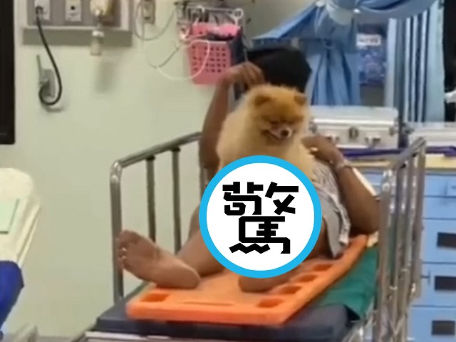 好男兒跟狗狗不分離！緊貼下體一起送醫，網驚：案情不單純。（翻自微博）
