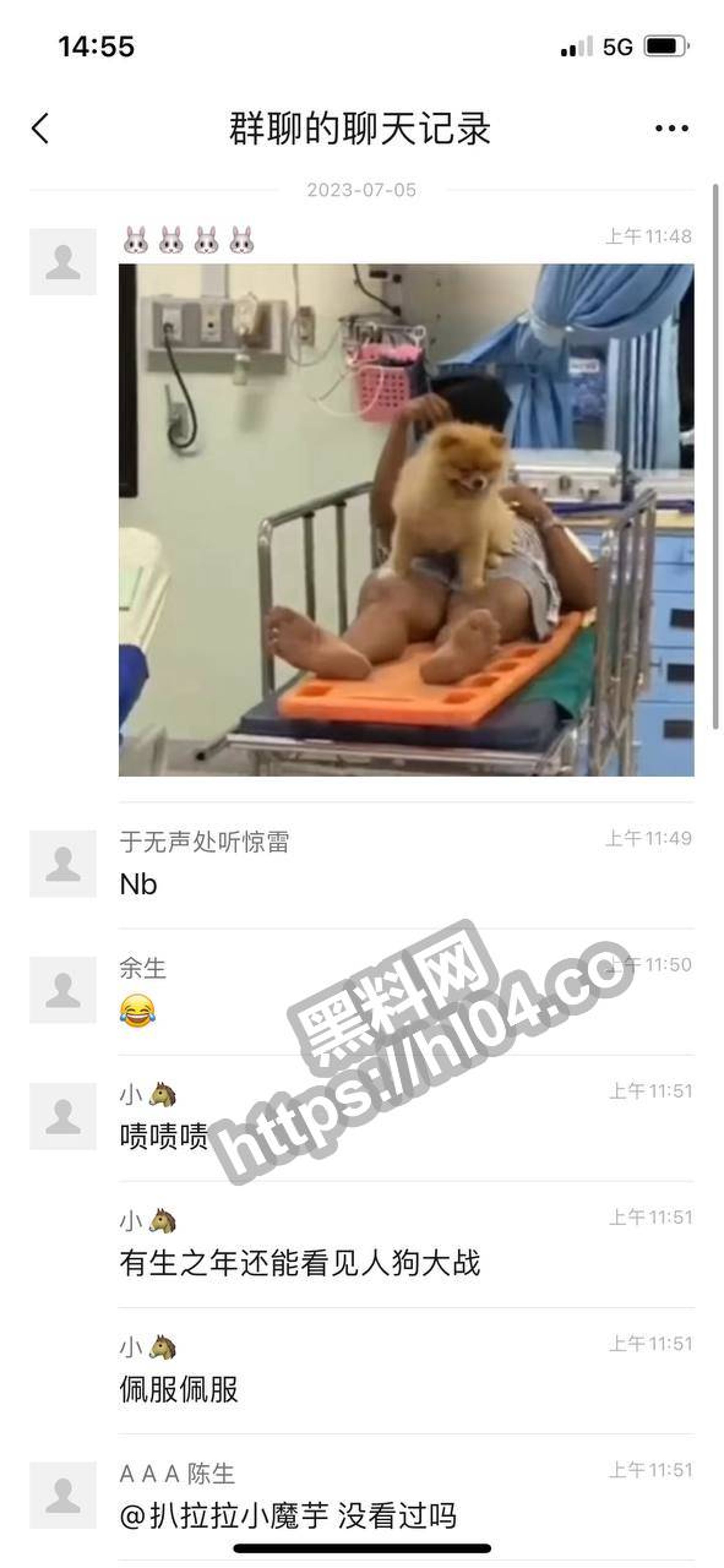 影片引發中國網友熱議。（翻自微博）
