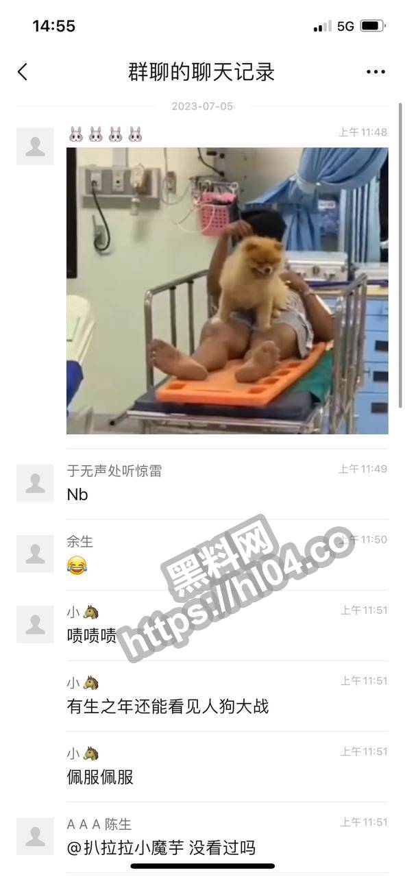 影片引發中國網友熱議。（翻自微博）