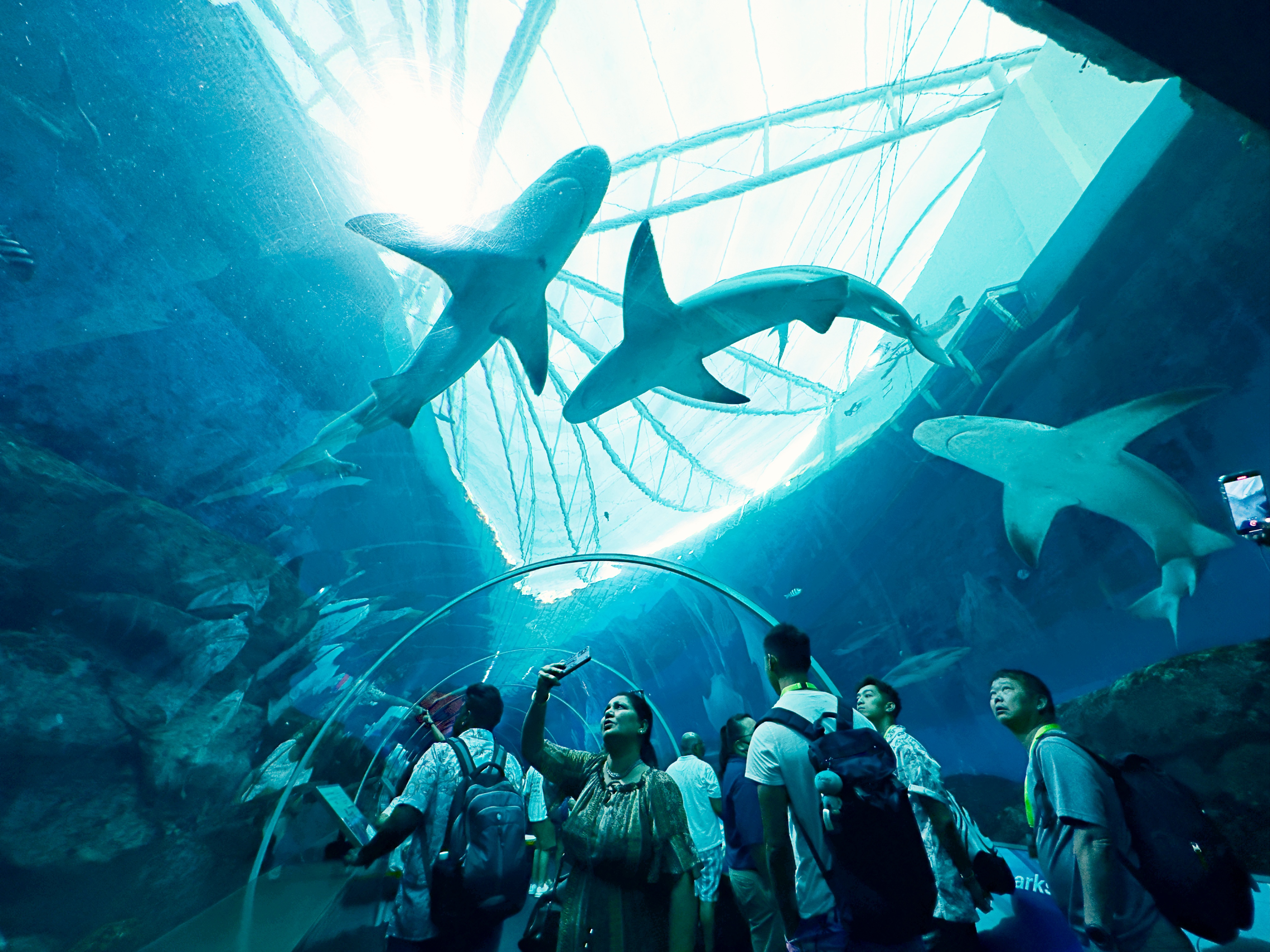 新加坡聖淘沙名勝世界內擁有東南亞唯一一座融入海洋生物元素的水上樂園。