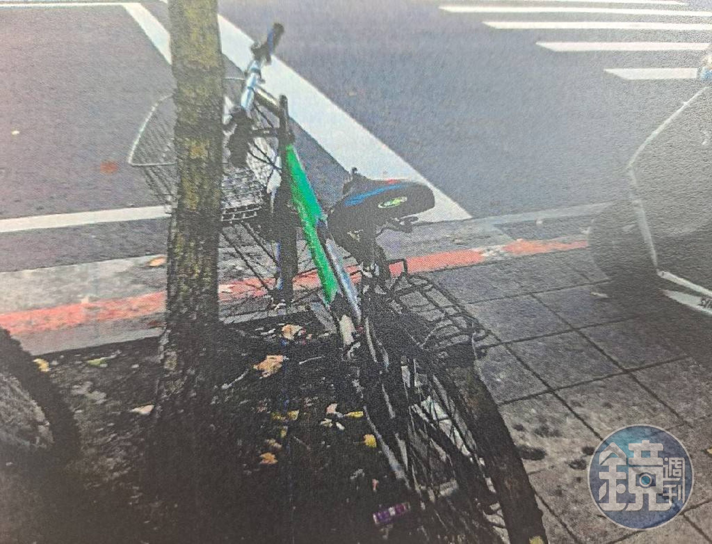 被害車主向警方表示,單車車身原本是綠色。(翻攝畫面)