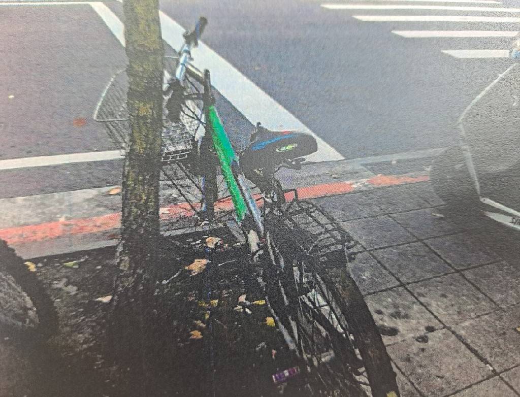 被害車主向警方表示，單車車身原本是綠色。（翻攝畫面）