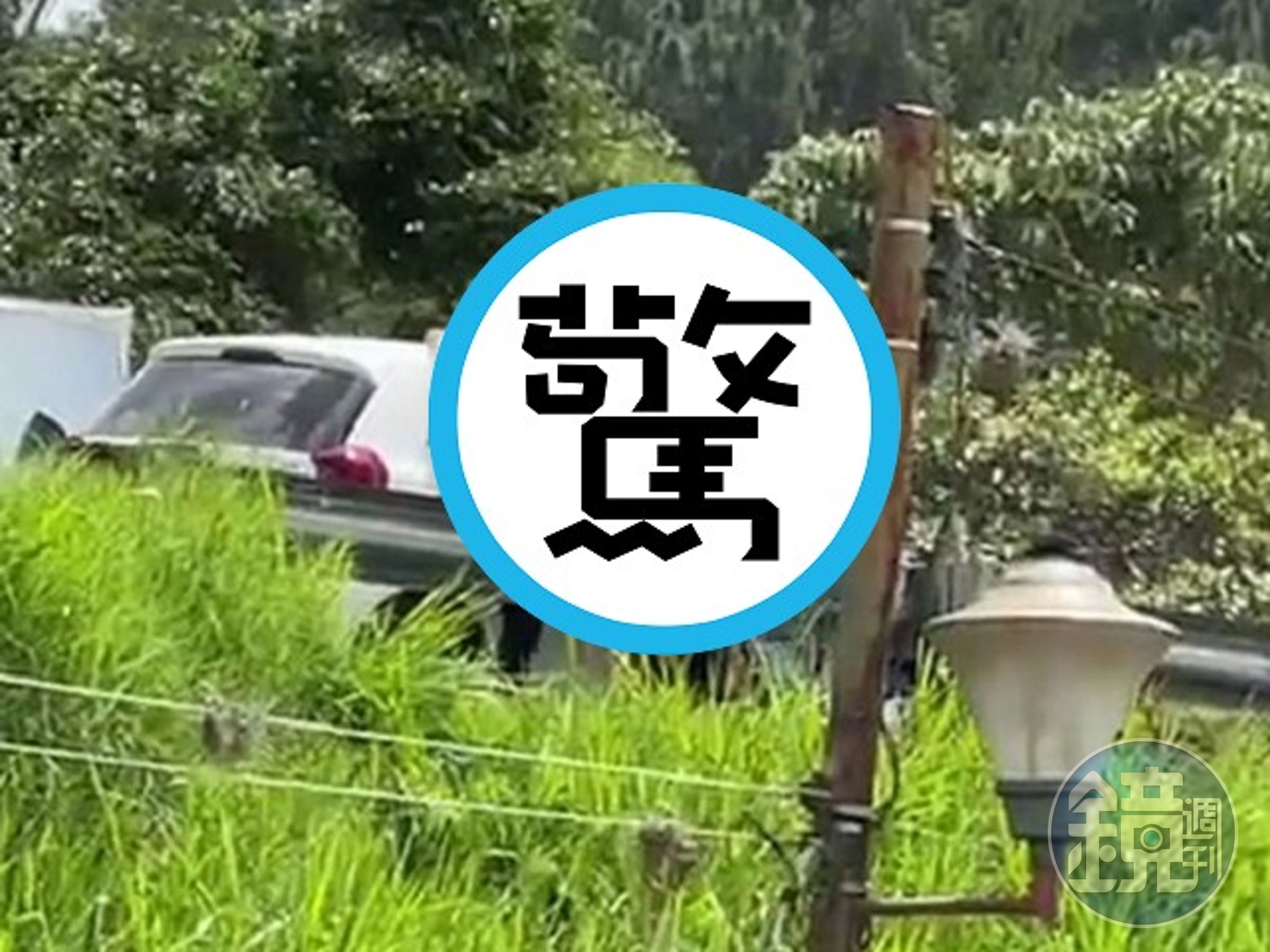 國際機場旁驚見「人肉造飛機」！真的是AV新企劃，鄉民拳頭硬爆急拍攝。（翻自《每日星報》）