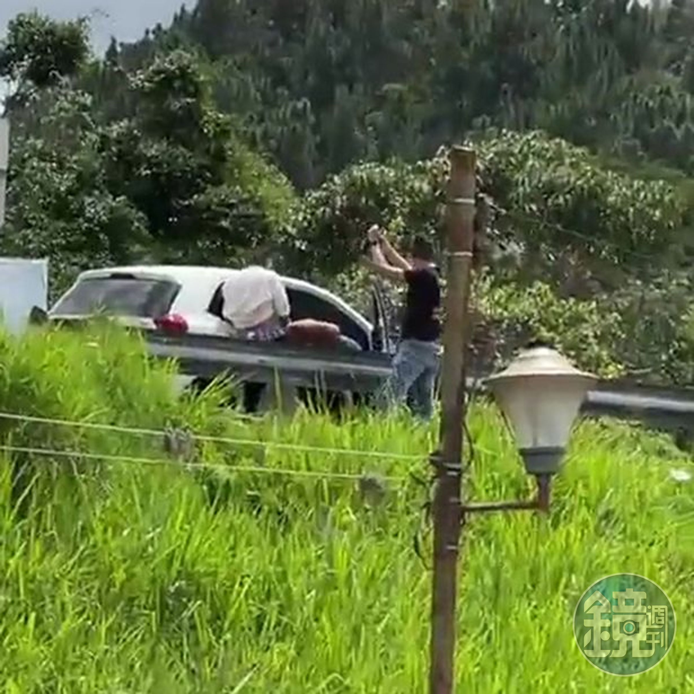 現場還有專業攝影師拍攝。（翻自《每日星報》）