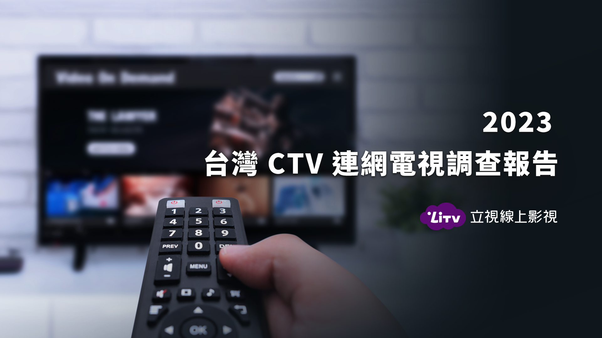 2023 台灣CTV 連網電視調查報告