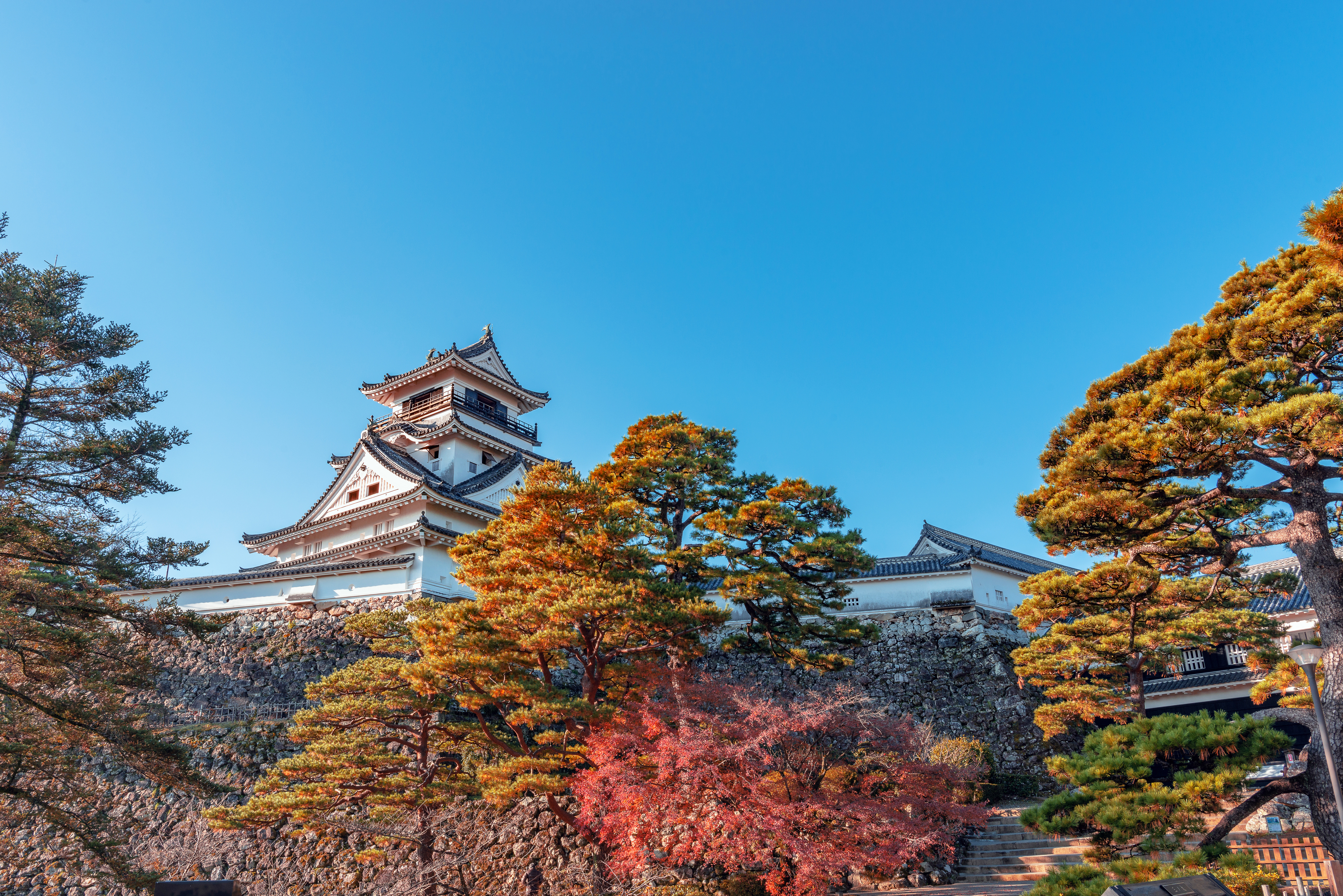 楓葉與高知城的歷史建築融合在一起，呈現出壯麗的景觀，令旅客如癡如醉。（燦星旅遊提供）