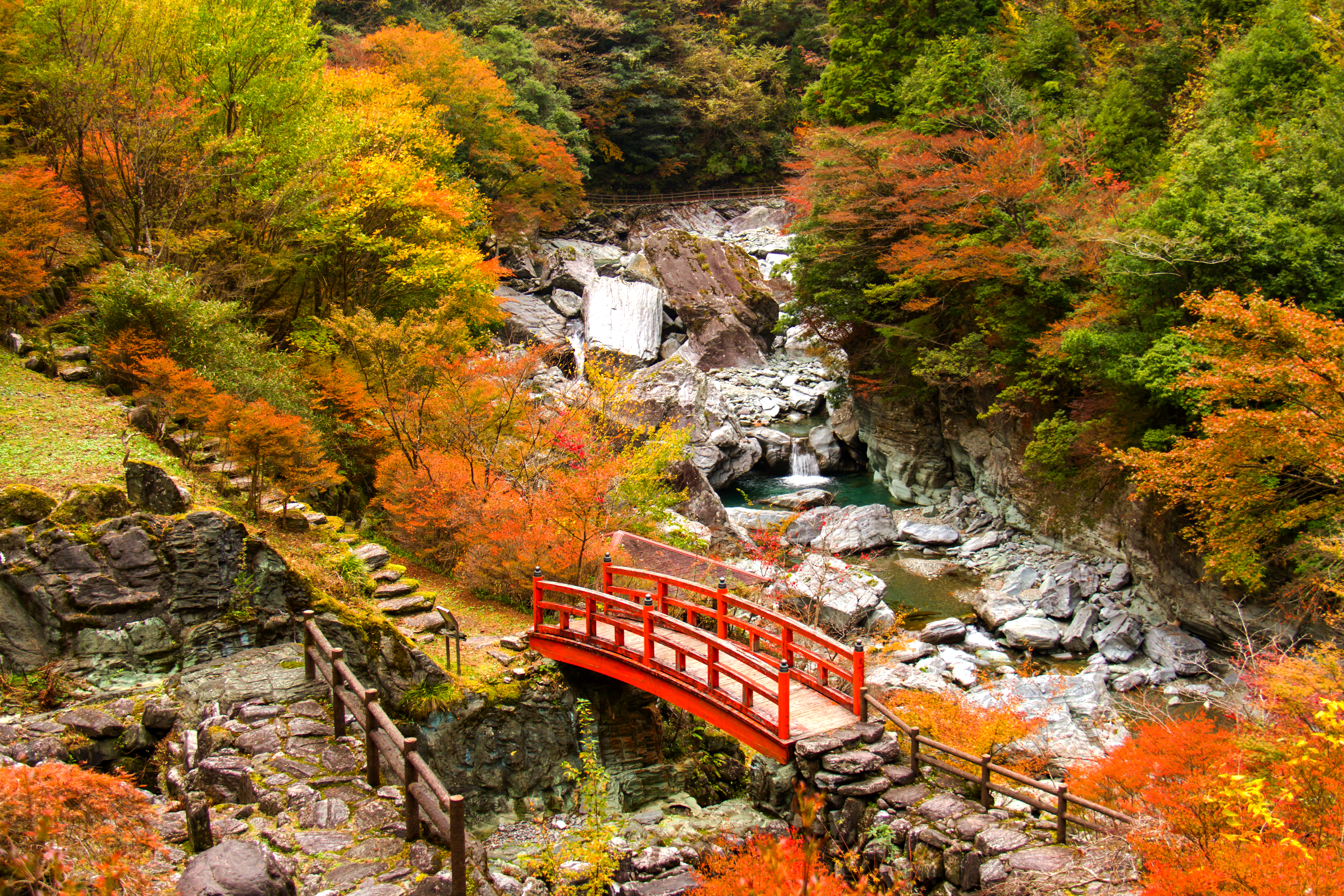 秋冬季節造訪四國，能欣賞到安居溪谷的美景。（燦星旅遊提供）