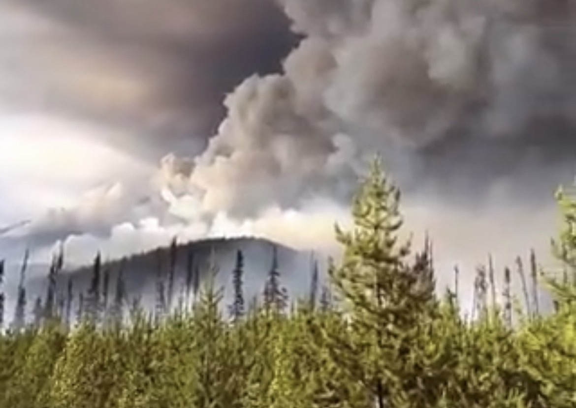 加拿大野火災情頻傳，今年更燒毀近千億平方公尺的土地創下歷史新高。（翻攝自Twitter）