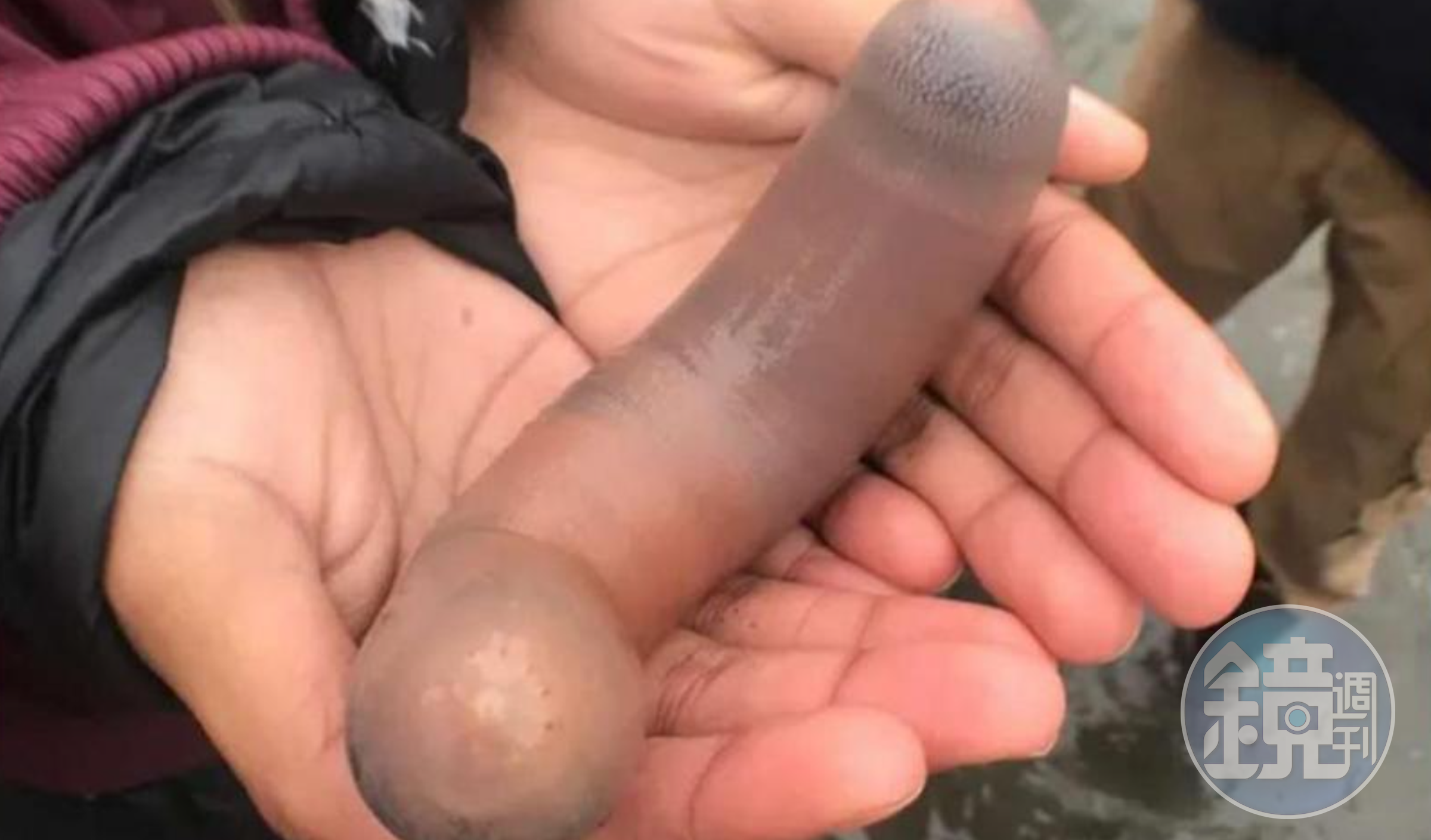 阿根廷南部海岸近日出現大量「陰莖魚(penis fish)」畫面吸引民眾圍觀。(翻攝自推特@ELTIEMPO)
