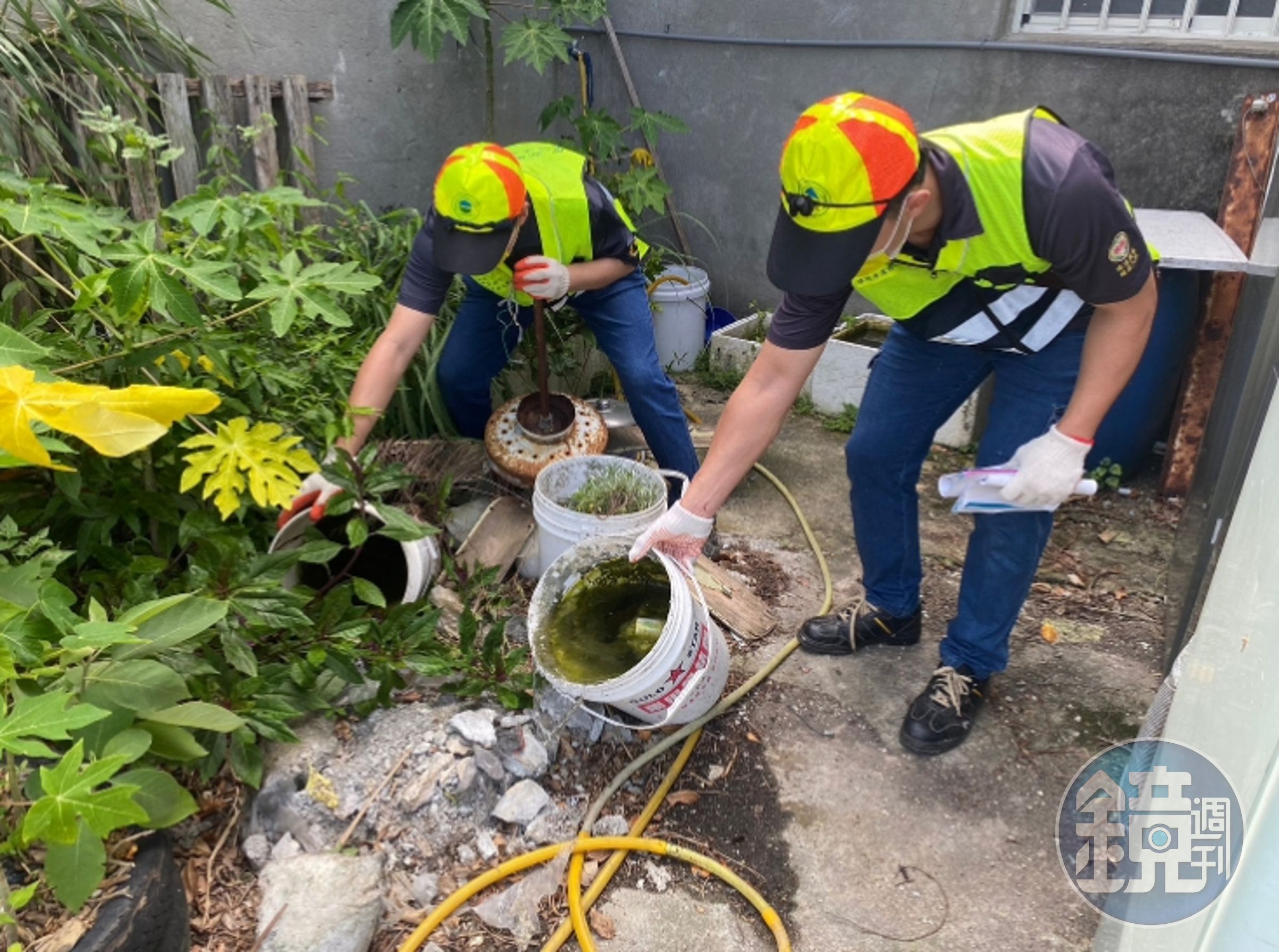南部本土登革熱疫情升溫,桃園市環保局呼籲市民加強檢查居家及社區環境,落實「巡、倒、清、刷」,清除積水容器。(桃園市環保局提供)