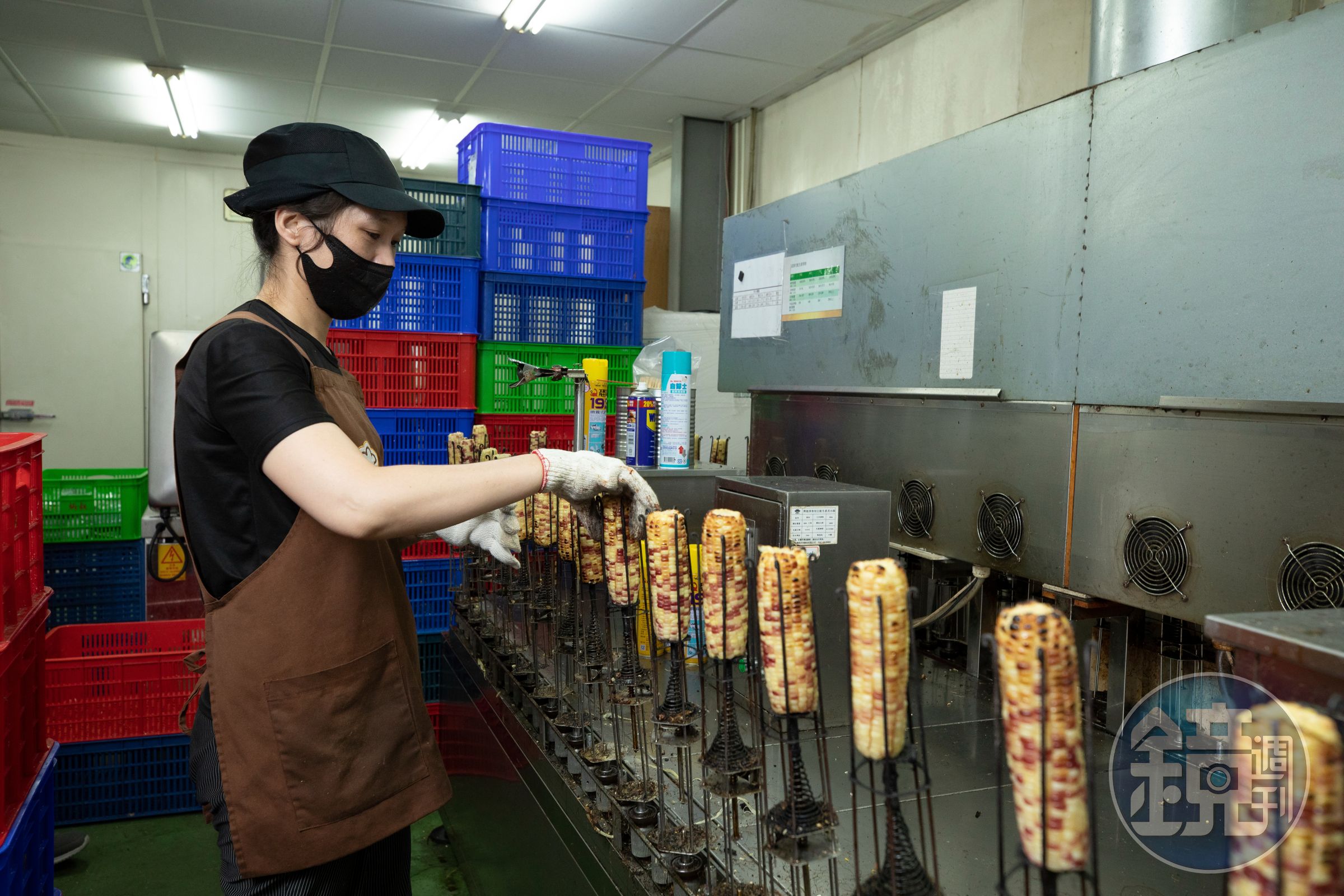 半自動化的中央廚房,每天可生產3千支冷凍烤玉米。
