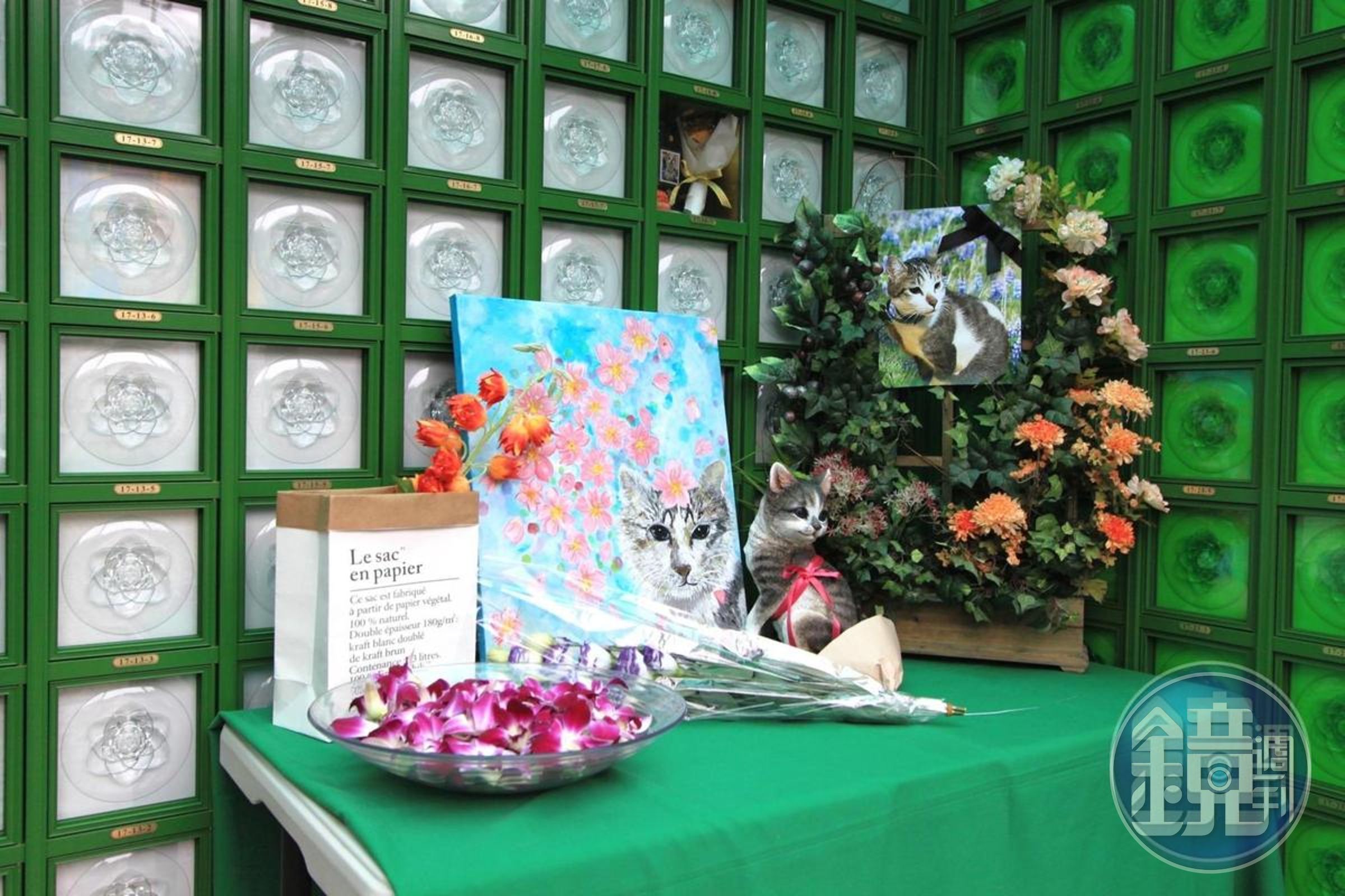 遭凌虐致死的「茶茶」安葬於北海福座的寵物樂園。(讀者提供)