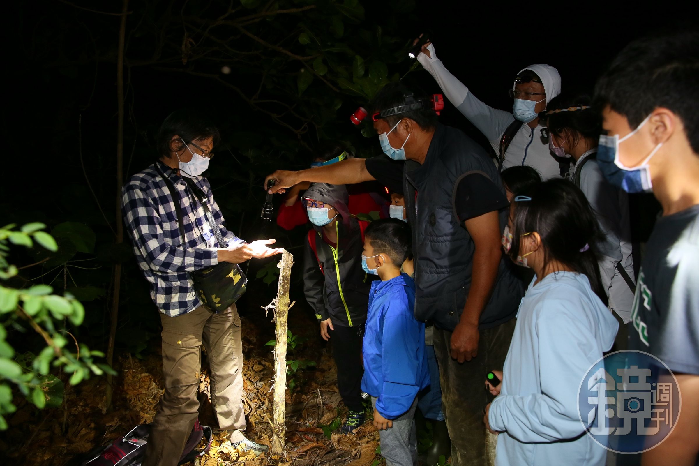 台江處將舉辦外來入侵種亞洲錦蛙防治教育宣導活動。（台江處提供）