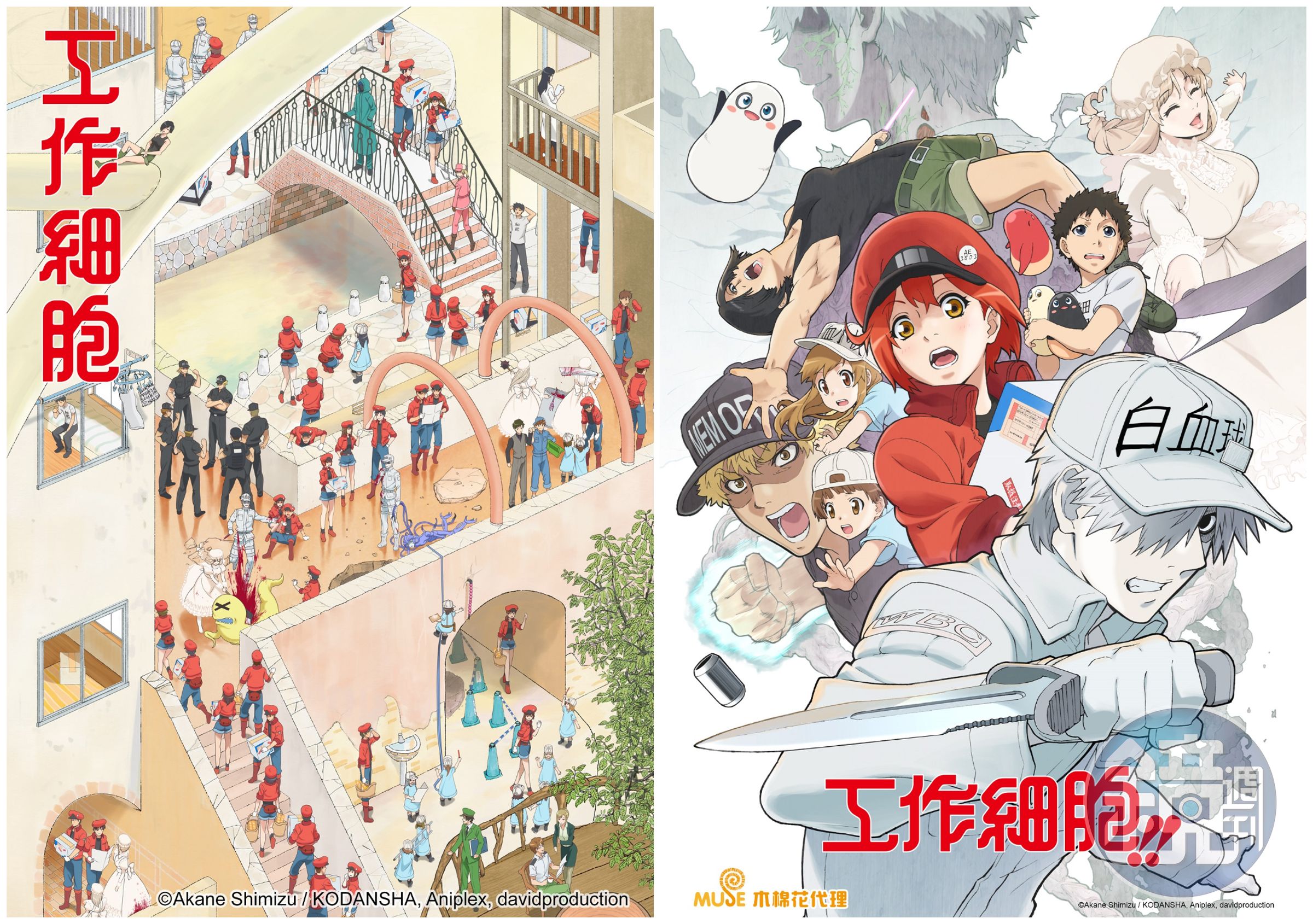 公視+推出全新網頁版,上架日本超人氣動漫《工作細胞》第一、二季。(公視提供)