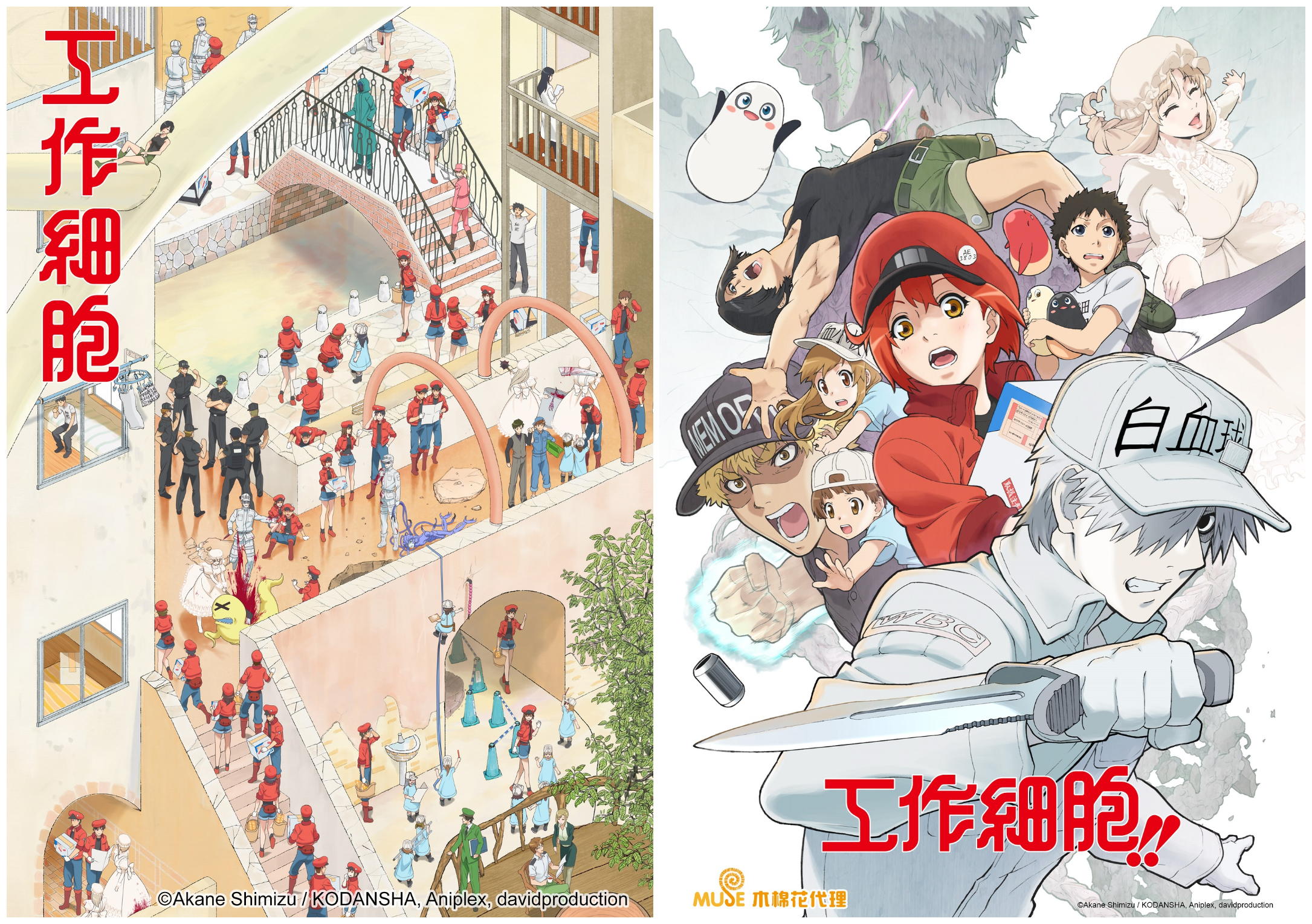 公視+推出全新網頁版，上架日本超人氣動漫《工作細胞》第一、二季。（公視提供）