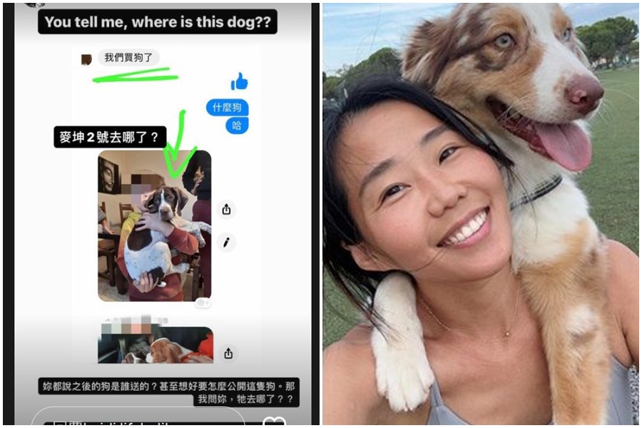 H女在IG踢爆亞歷媽其實還有買第二隻狗，並怒控對方唆使自己辦小帳去攻擊其他網紅。（翻攝自亞歷媽臉書、H女IG）