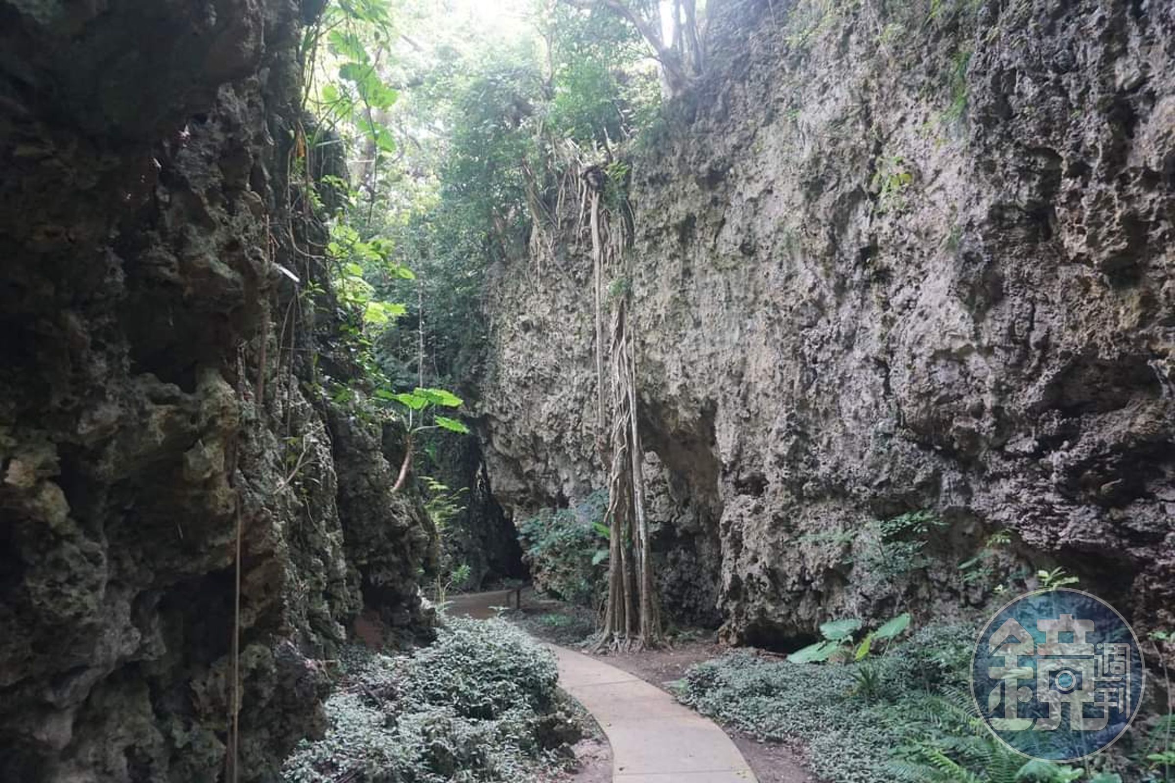 屏東林管處所轄墾丁四等園區、自然教育中心、檜谷山屋及所轄自然步道暫停開放。（翻攝畫面）