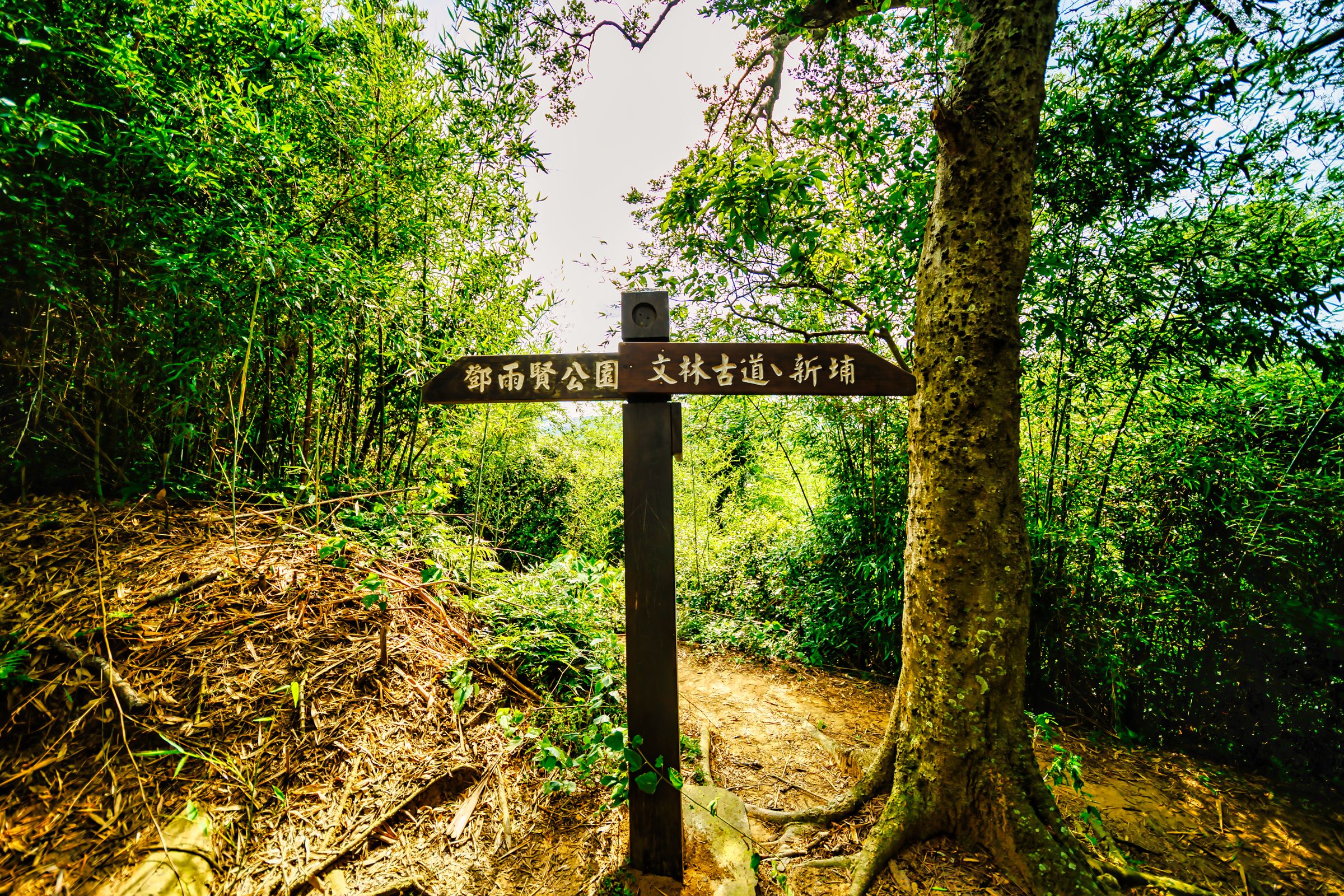 文林古道:文林古道位於芎林鄉文林村紙寮窩,因有著名寺廟文林閣,故取名文林古道,昔日是山區居民運送農產的道路,現為一條休閒的路線。