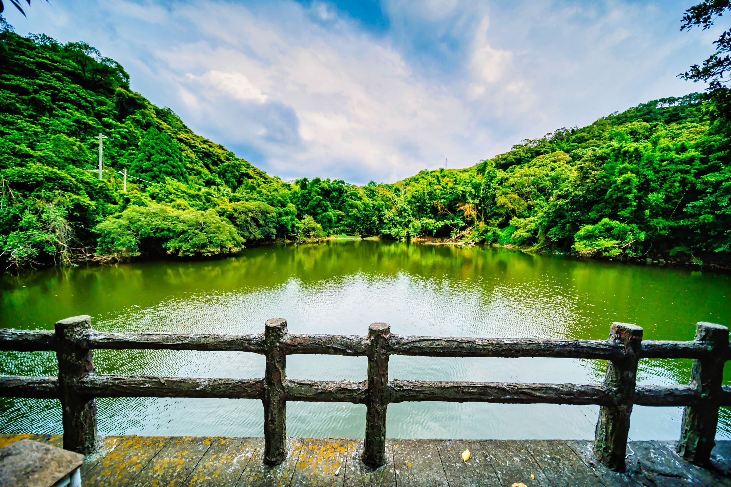 新埔「飛龍步道」-蓮華山古道群位於新埔鎮,步道蜿蜒圍繞著山勢,狀似飛龍盤據,有飛龍、採茶、進香、載熙四條古道,串連著龍頭公園、忘憂谷、神木區、樟林大道、飛龍池、運動公園等景點,飛龍池是一座灌溉用的大池塘,名為「廣源記圳灌溉蓄水池塘」