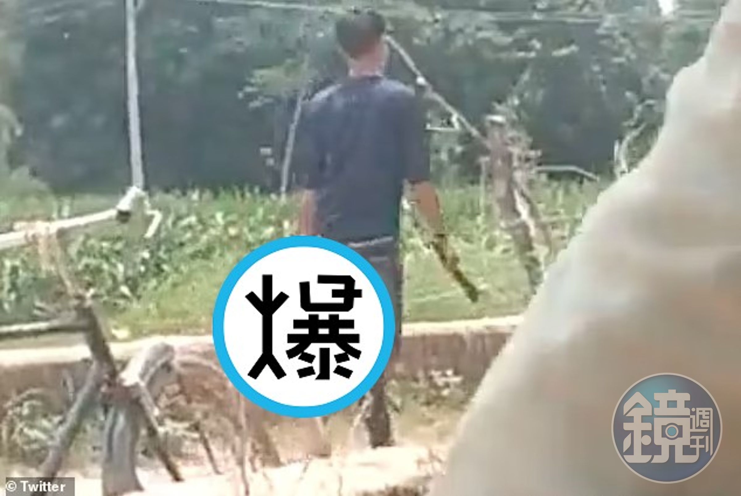 男當街提人頭晃啊晃！不祝福妹妹的婚姻，將她殘忍殺害斷頭。（翻自《每日郵報》）