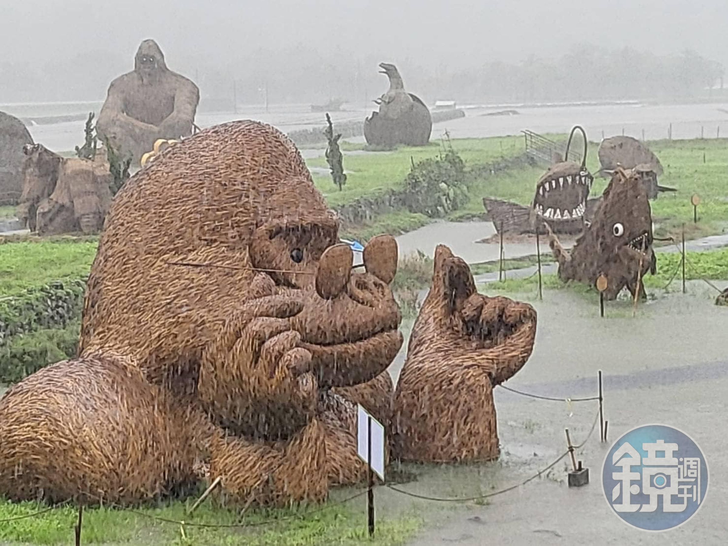 富里「稻草藝術季」巨型猩猩遇上颱風淹水,像是在泡澡一般。(翻攝臉書)