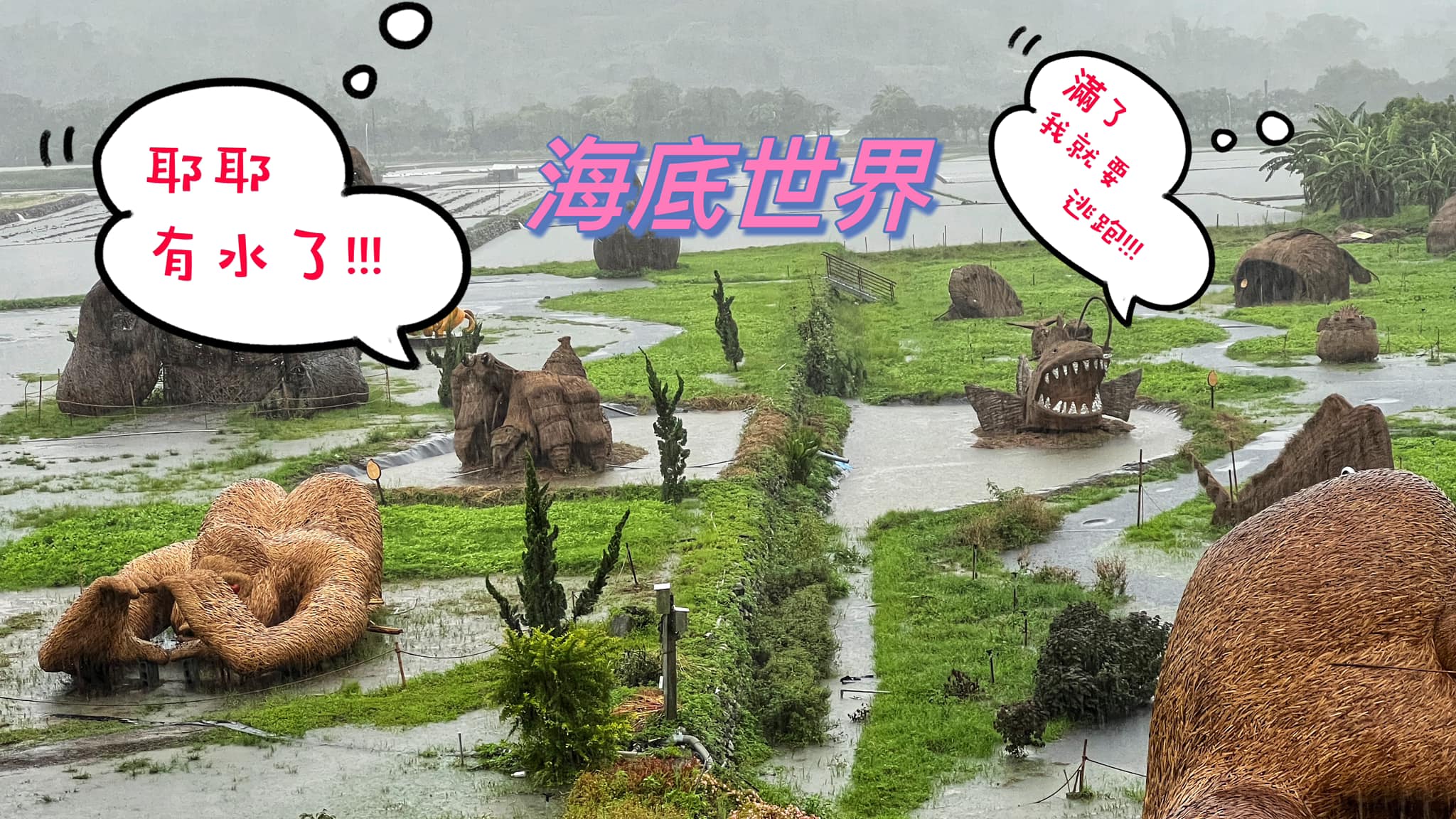 「稻草藝術季」淹水變成一片汪洋。(翻攝花蓮縣富里鄉農會臉書)