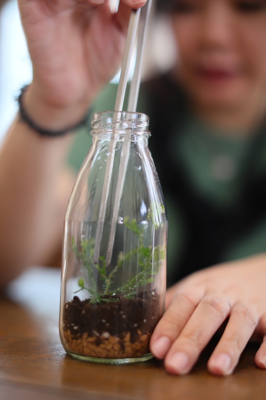 「生態瓶」體驗簡易又有趣,還能在導覽員的說明下生物小知識+1。