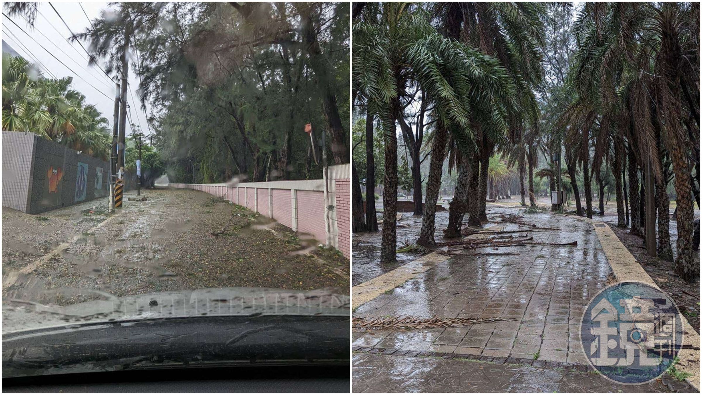 目前活動主場域路面及道路殘枝落葉數量多,部分樹木有倒坍情形發生,雲林縣府宣布音樂祭順延一週。(雲林縣府提供)